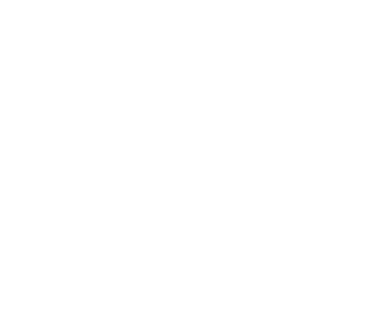 Foellinger Foundation Annual Report