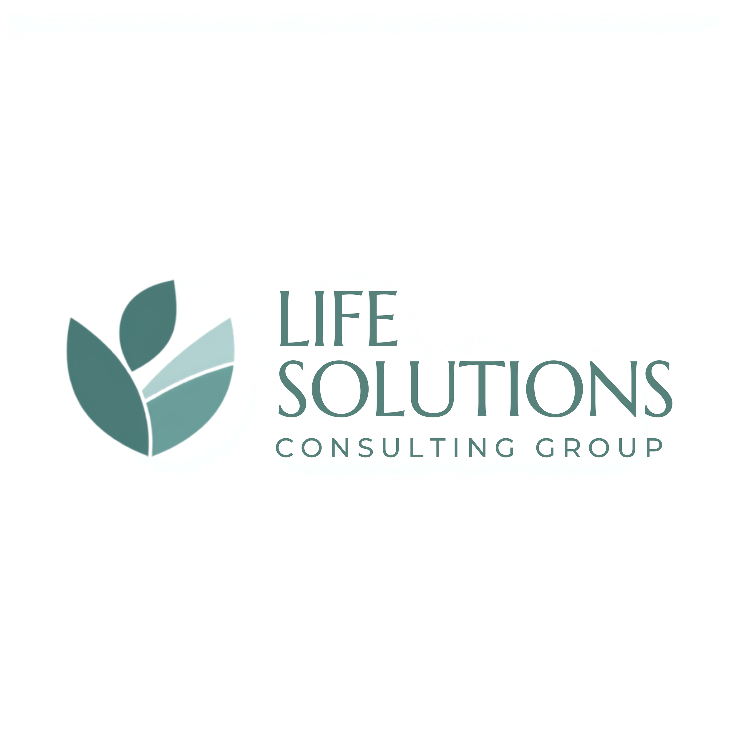 Life Solutions Consulting Group