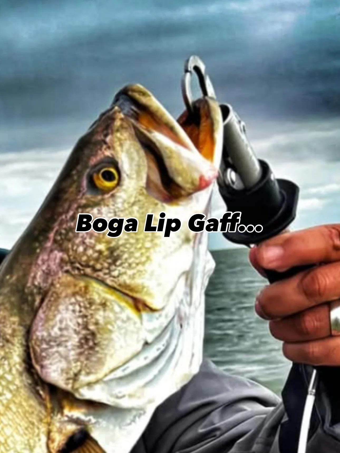 I've been watching this ridiculous practice gain popularity the last decade and it's well past time we start calling this out and making people aware of how bad this is for these fish we are supposed to be releasing as healthy as possible. 
I see fu