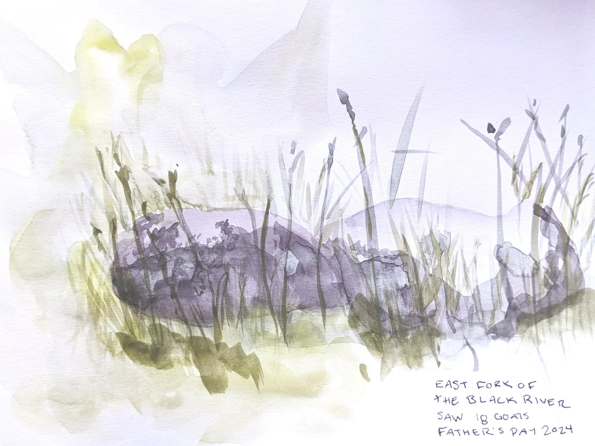 Summer 24 Watercolors