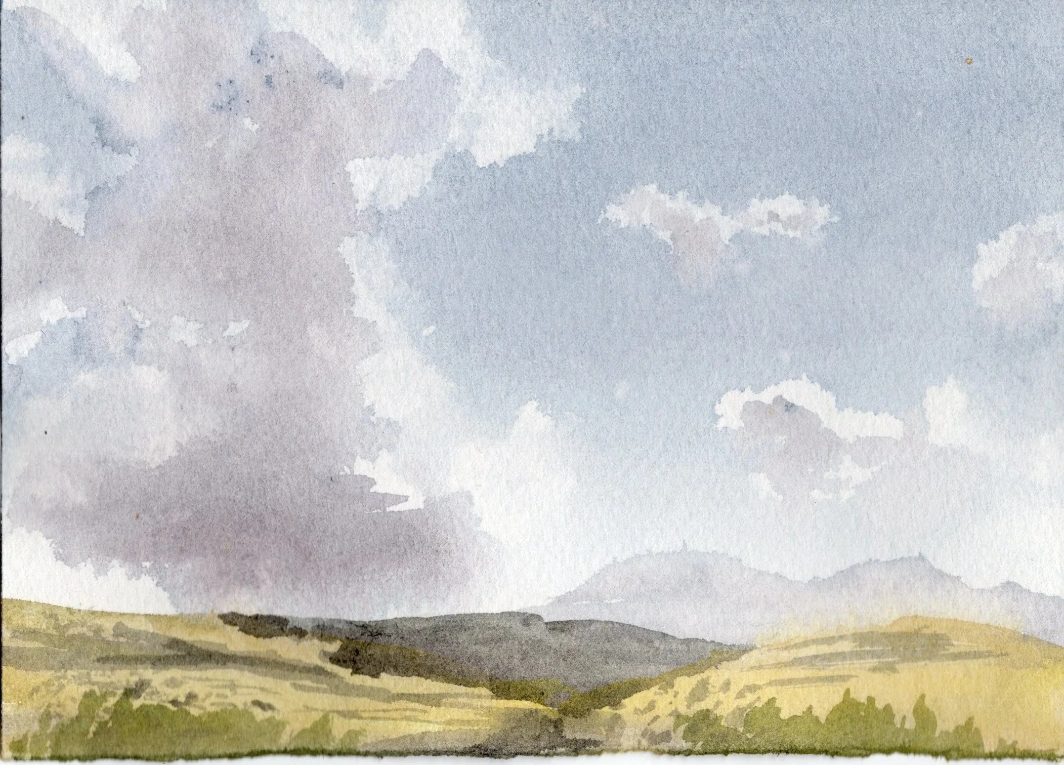 SCAN20260716.jpg
