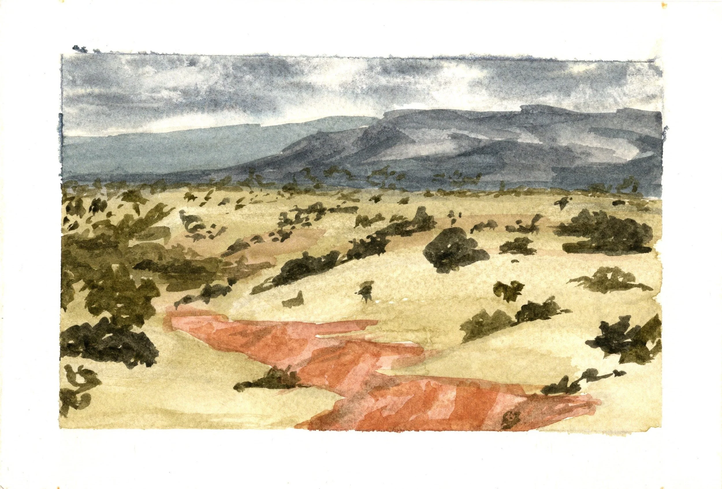 SCAN20260525_0003.jpg