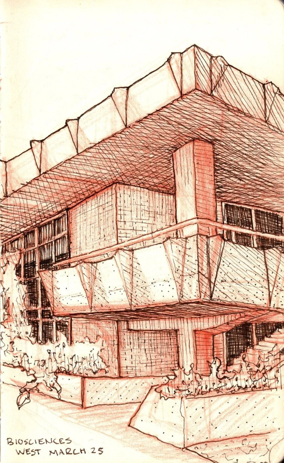 SCAN20260419_0006b.jpg