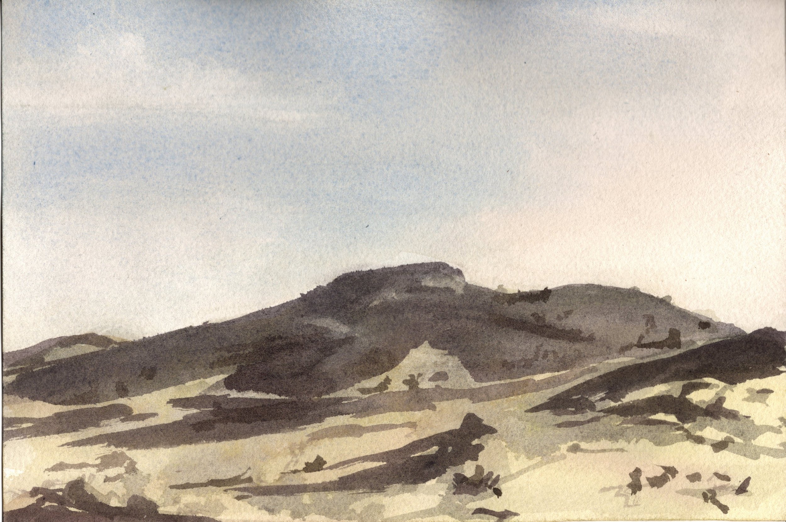 SCAN20260605_0004.jpg