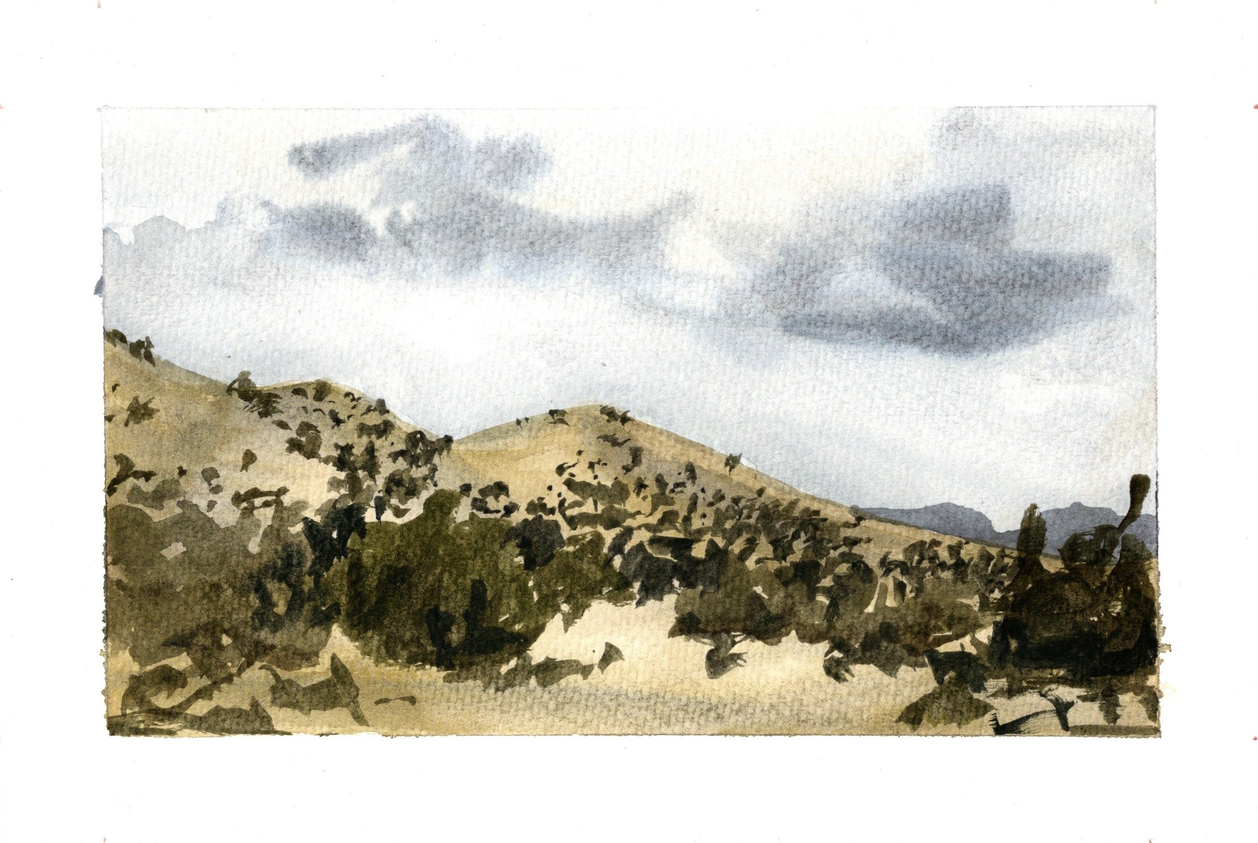 SCAN20260525_0004.jpg