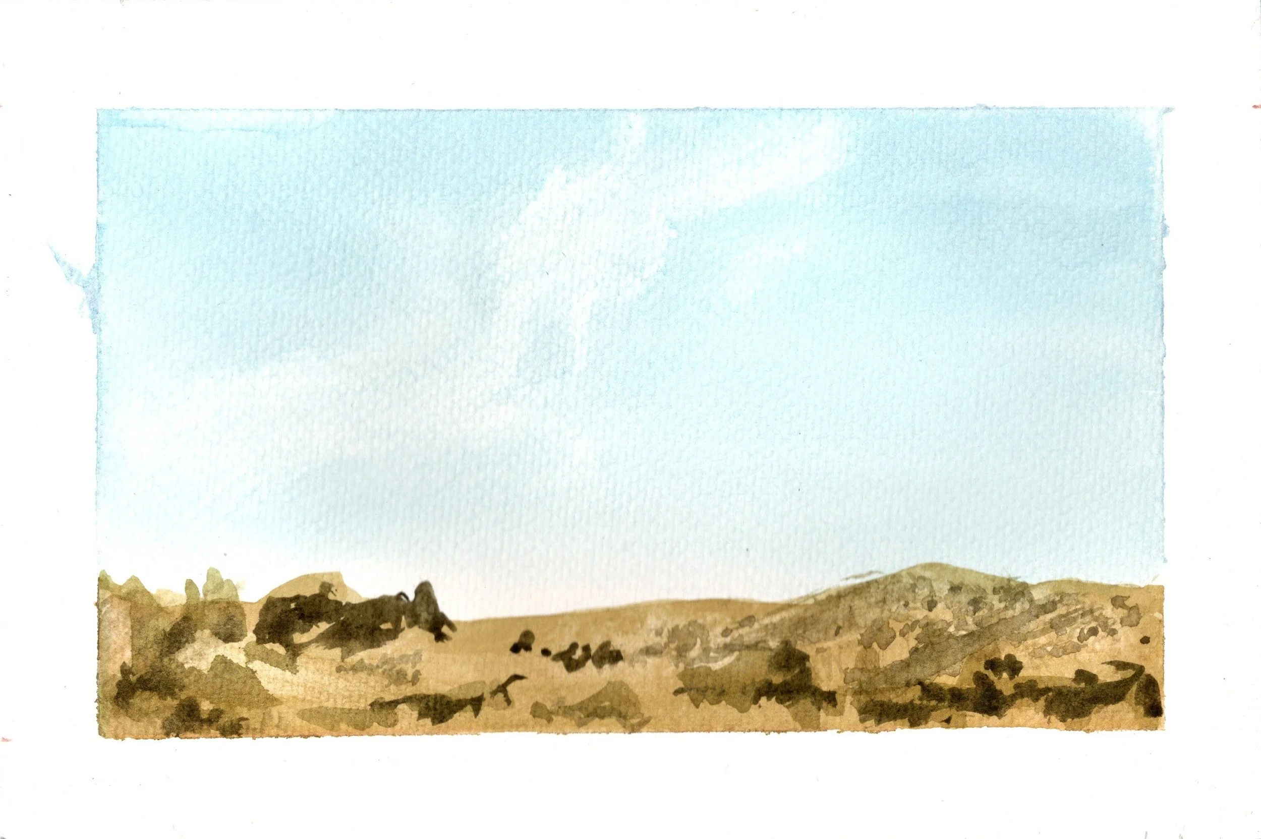 SCAN20260525_0002.jpg