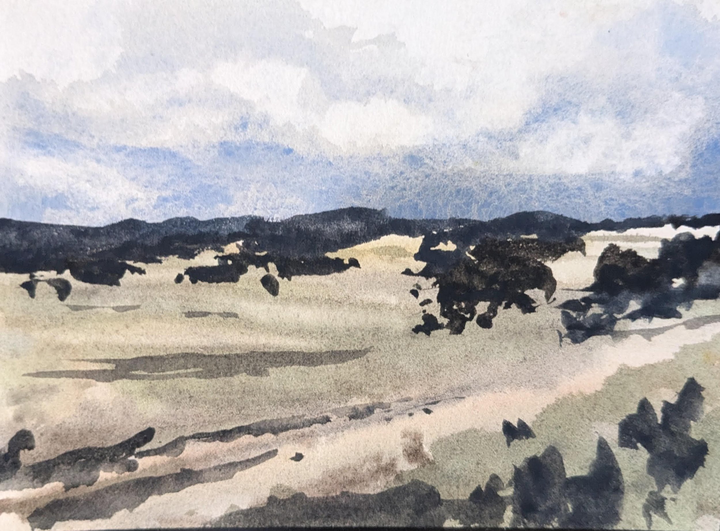 Summer 25 - Valle Caldera