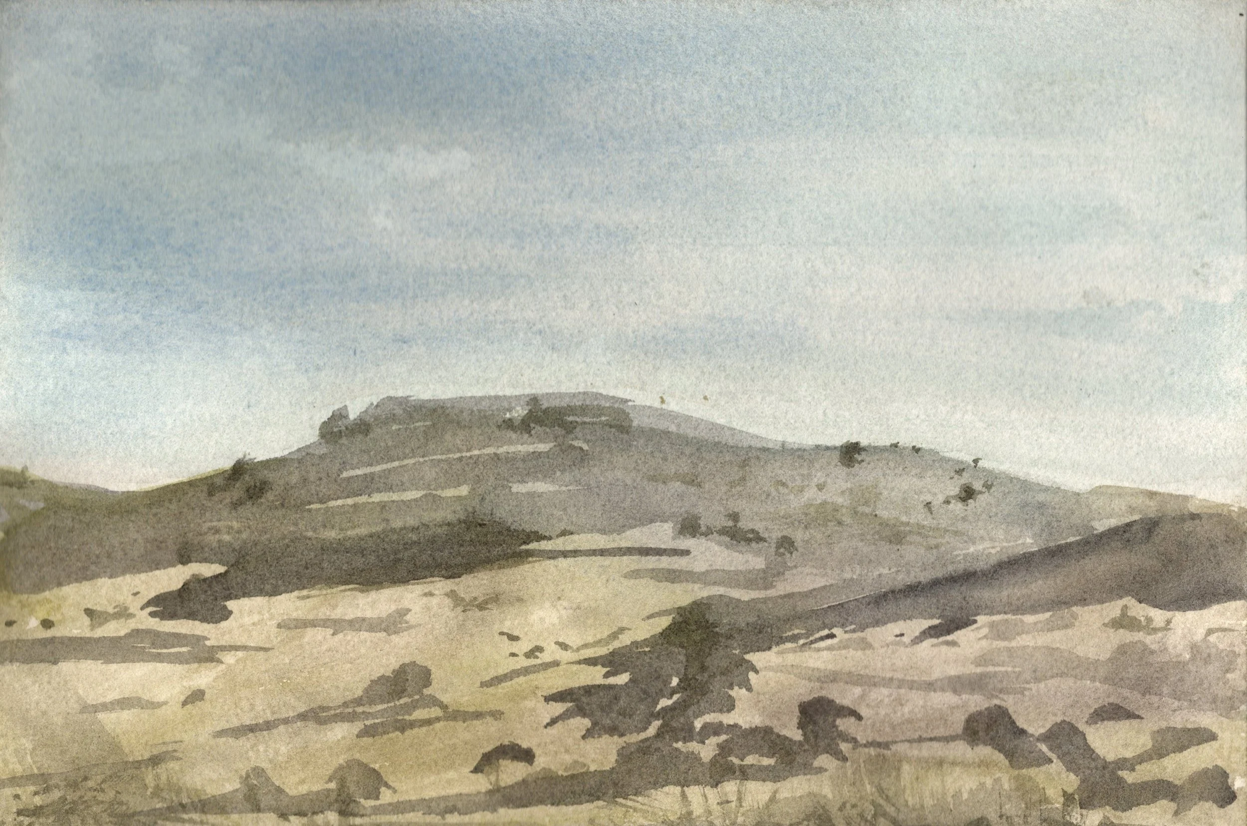SCAN20260605_0005.jpg