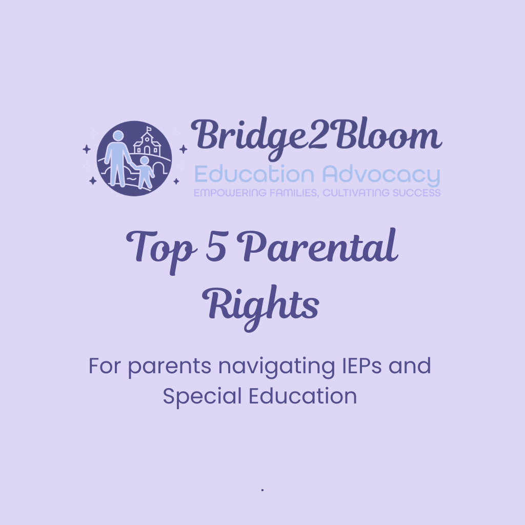 The Top 5 Parental Rights for Parents Navigating Special Education