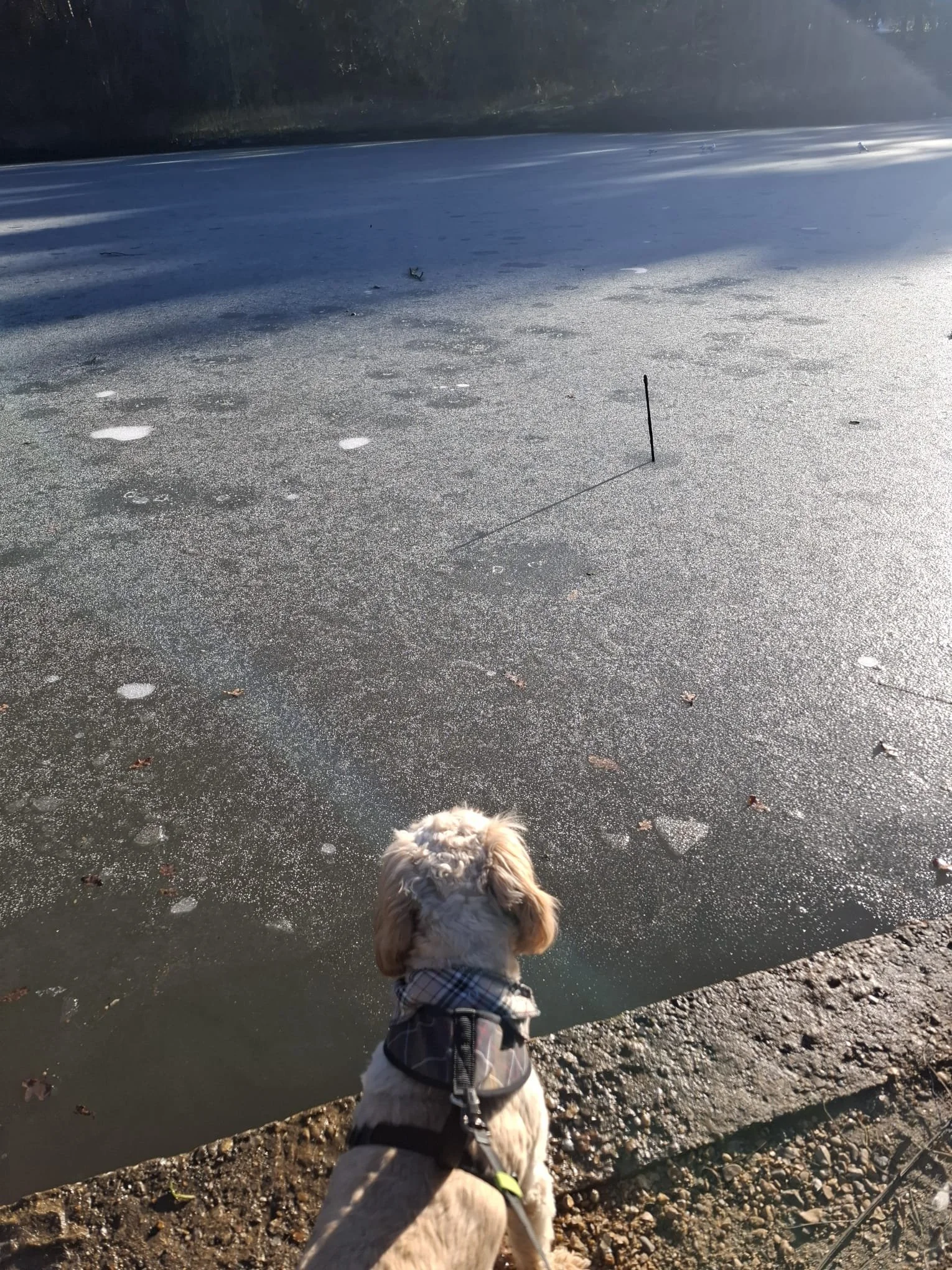 WhatsApp Image 2026-01-02 at 12.41.59.jpeg