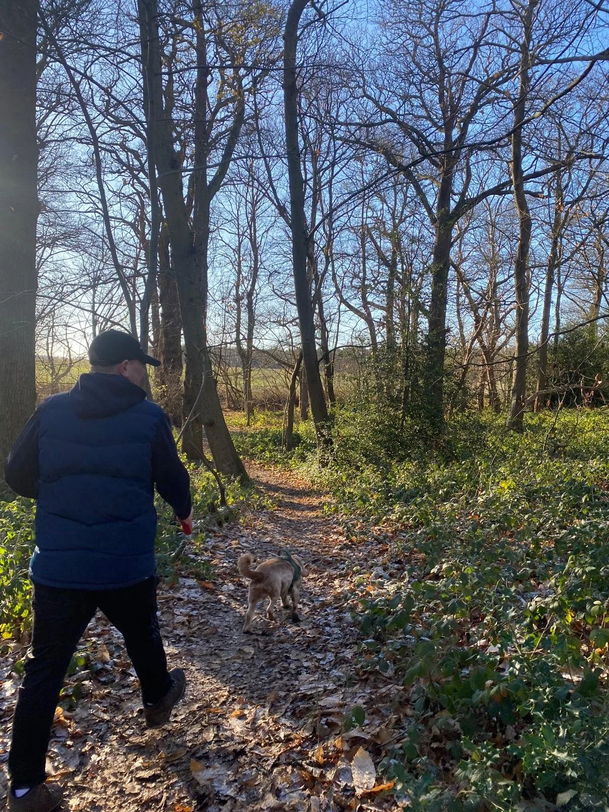 WhatsApp Image 2026-01-05 at 13.48.08.jpeg