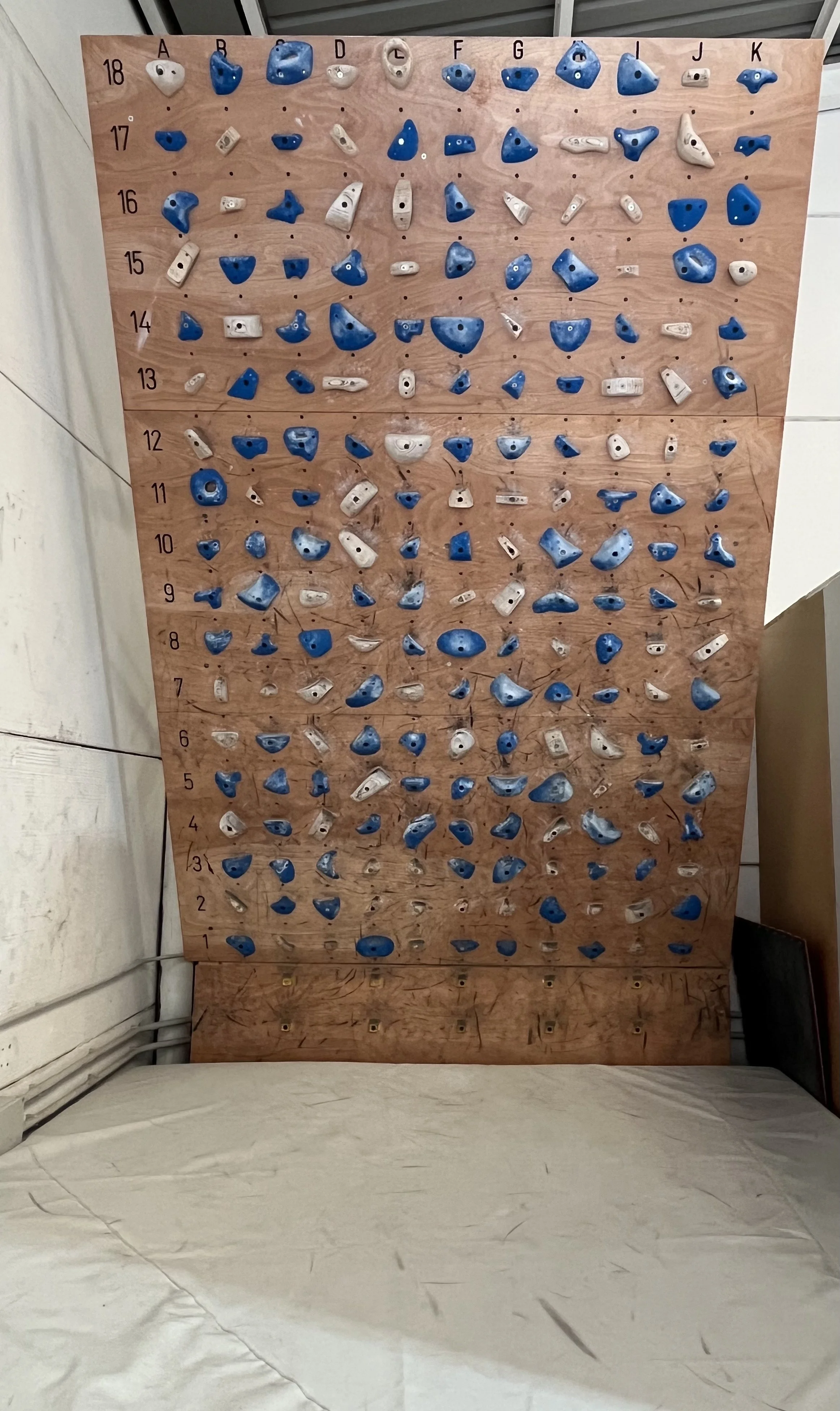 Moonboard at Hang On Lanzarote.jpg