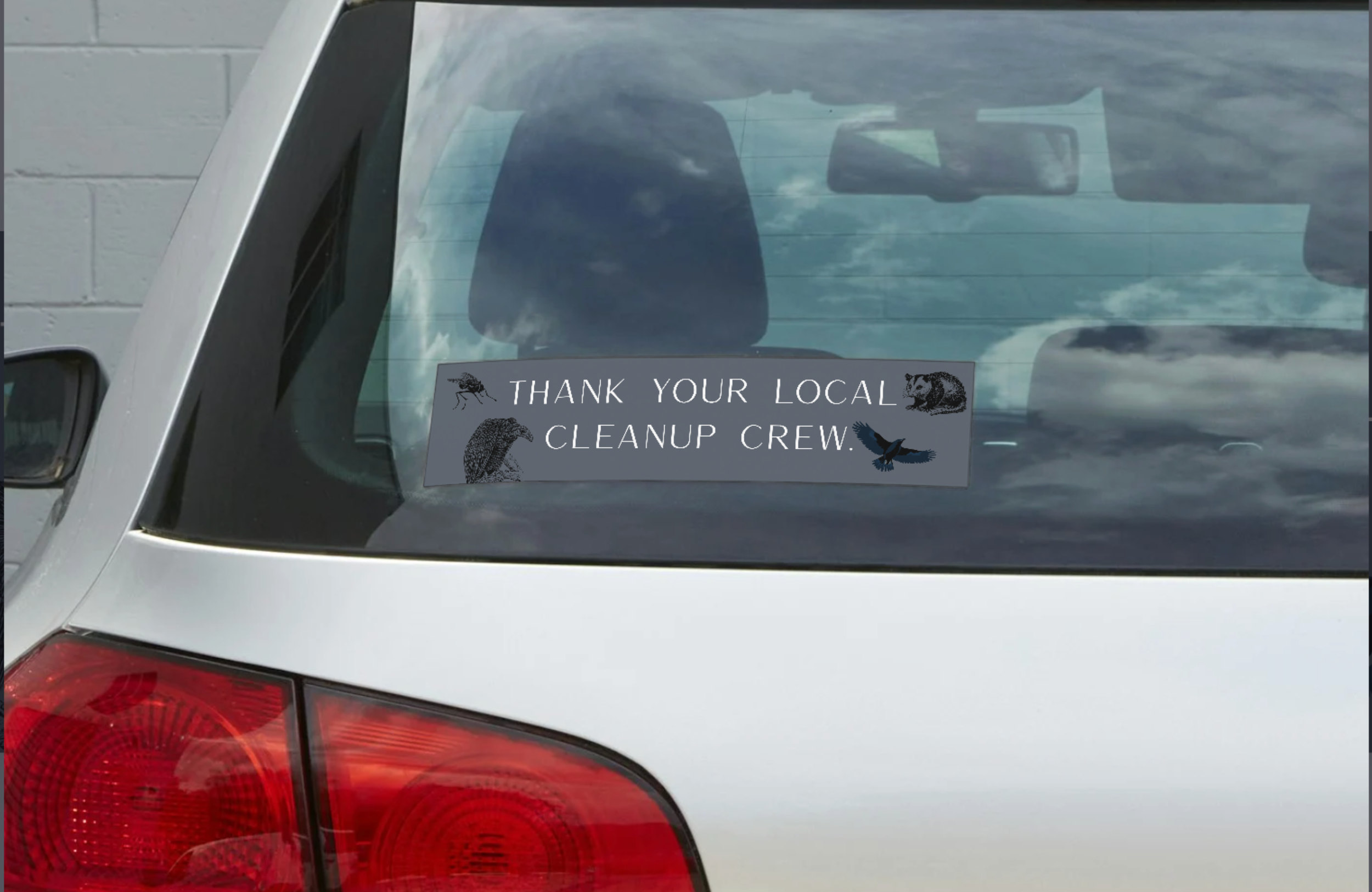Cleanup window (1).png