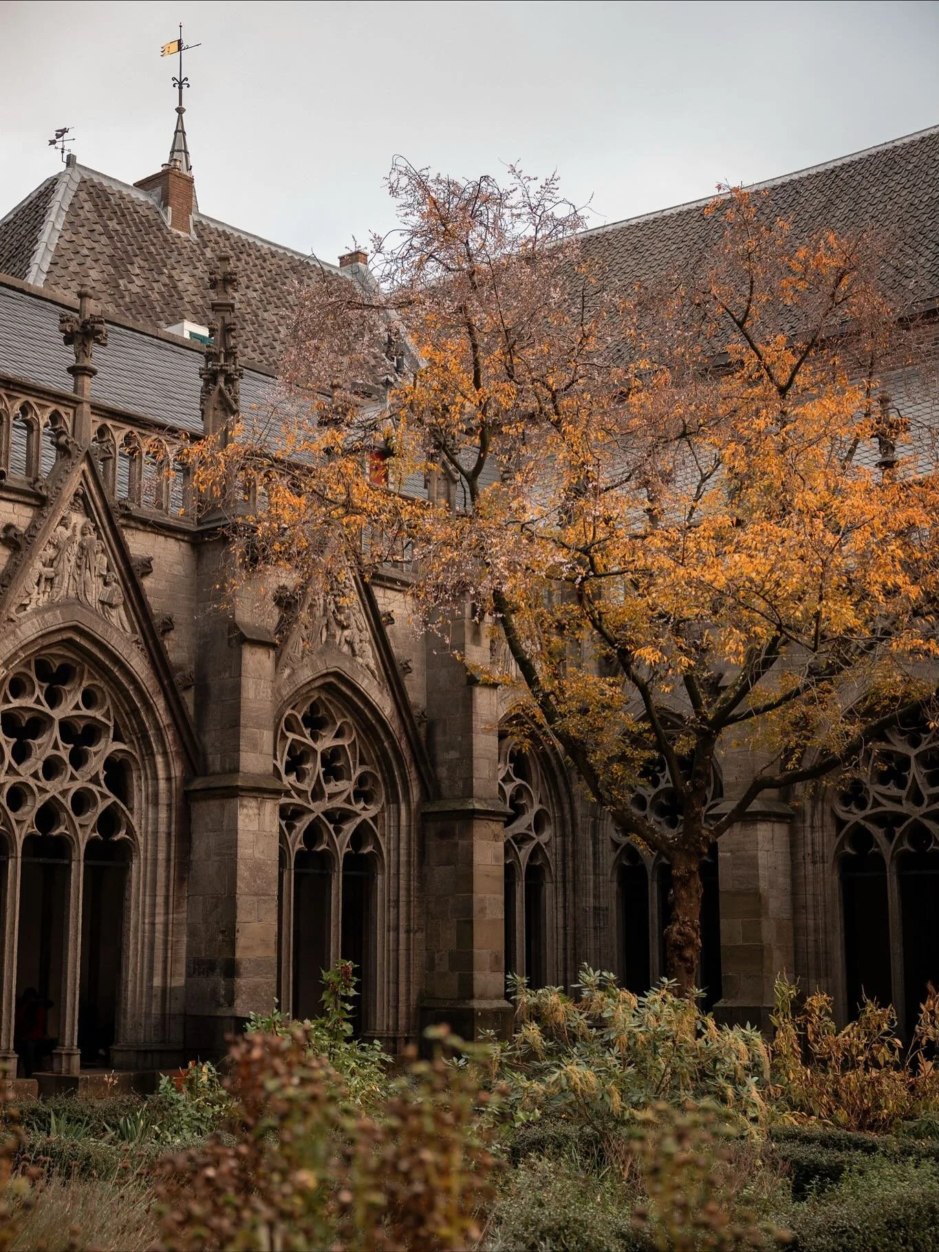 Founded in 1636, Utrecht University is one of the oldest in the Netherlands. A quiet blend of history + stunning architecture ✨📚. Every corner felt a little magical! 
#universityofutrecht #nederland🇳🇱
