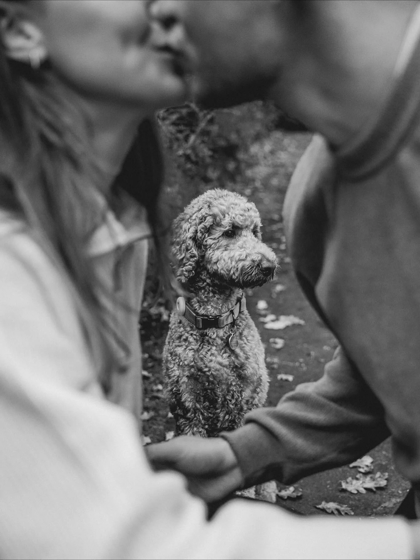 Spent the day playing with Pepa and her humans, the sweetest pup ever! 🐾 
#dogphotoshoot #travelphotographer