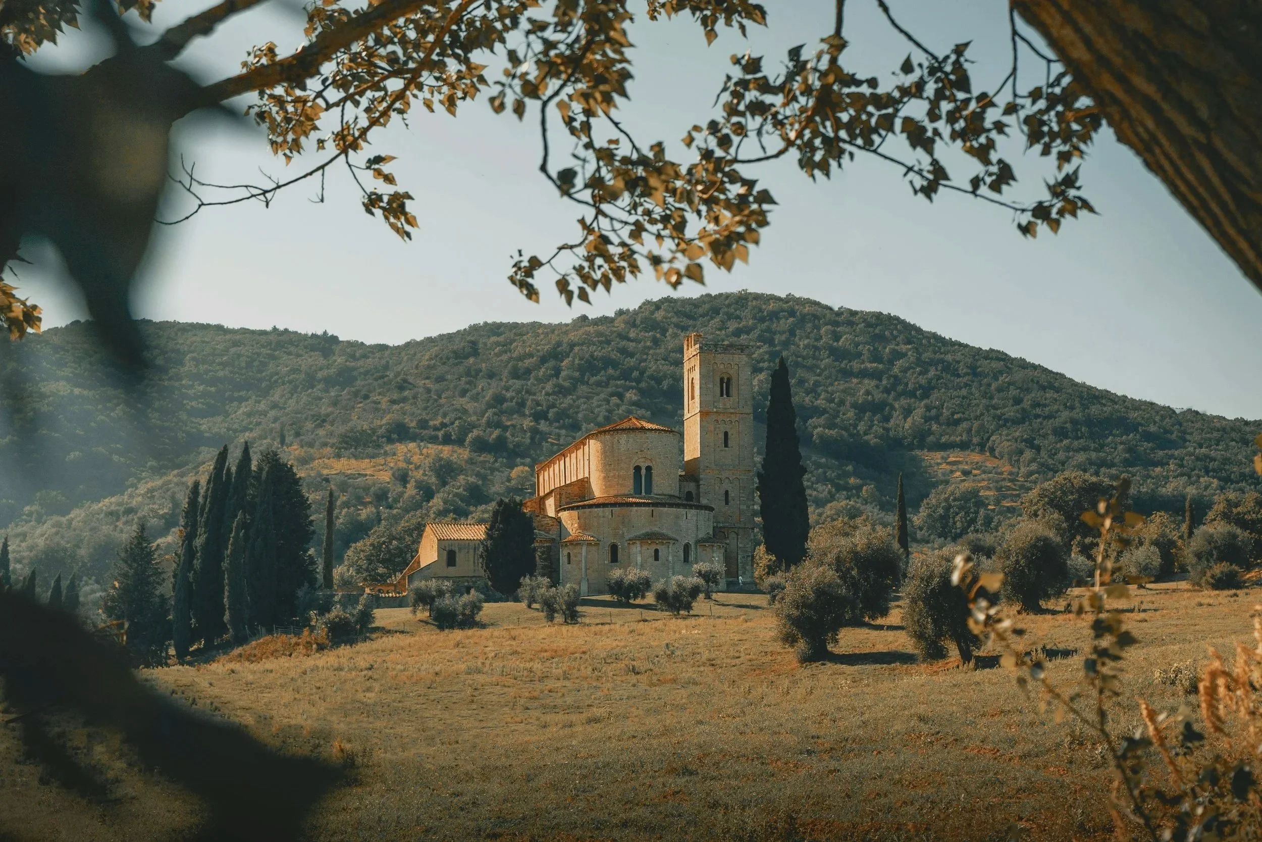 A scenic view of a historic church with a tall bell tower, surrounded by trees and shrubs, on a hillside with forested mountains in the background.