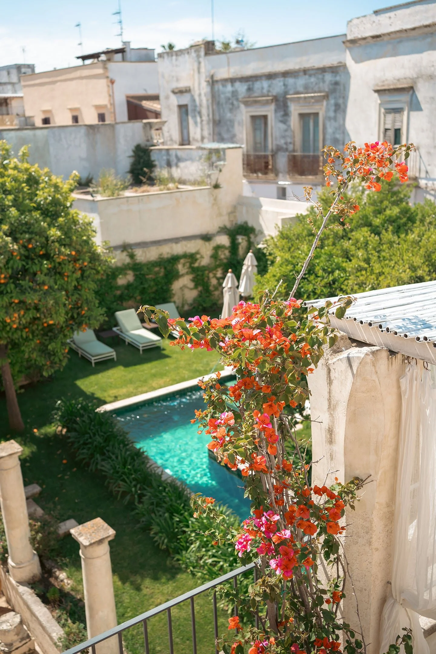 A view from a balcony overlooking a backyard with a swimming pool, surrounded by green grass and trees, with lounge chairs and umbrellas. Bright orange and pink flowers are climbing a white wall in the foreground.