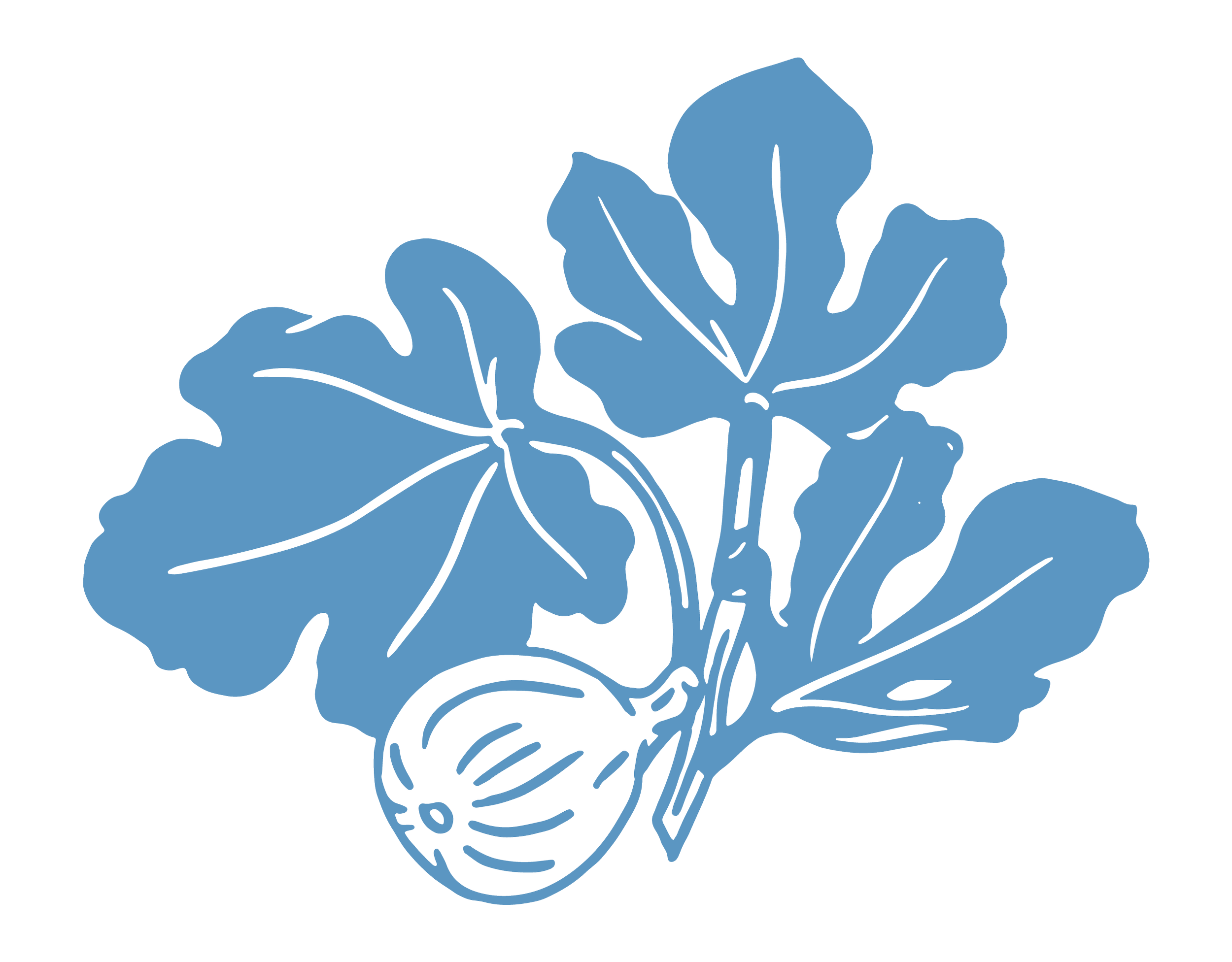 Sojourn Ventures Logo - Simple blue illustration of a flowering plant with large leaves and a round seed pod.