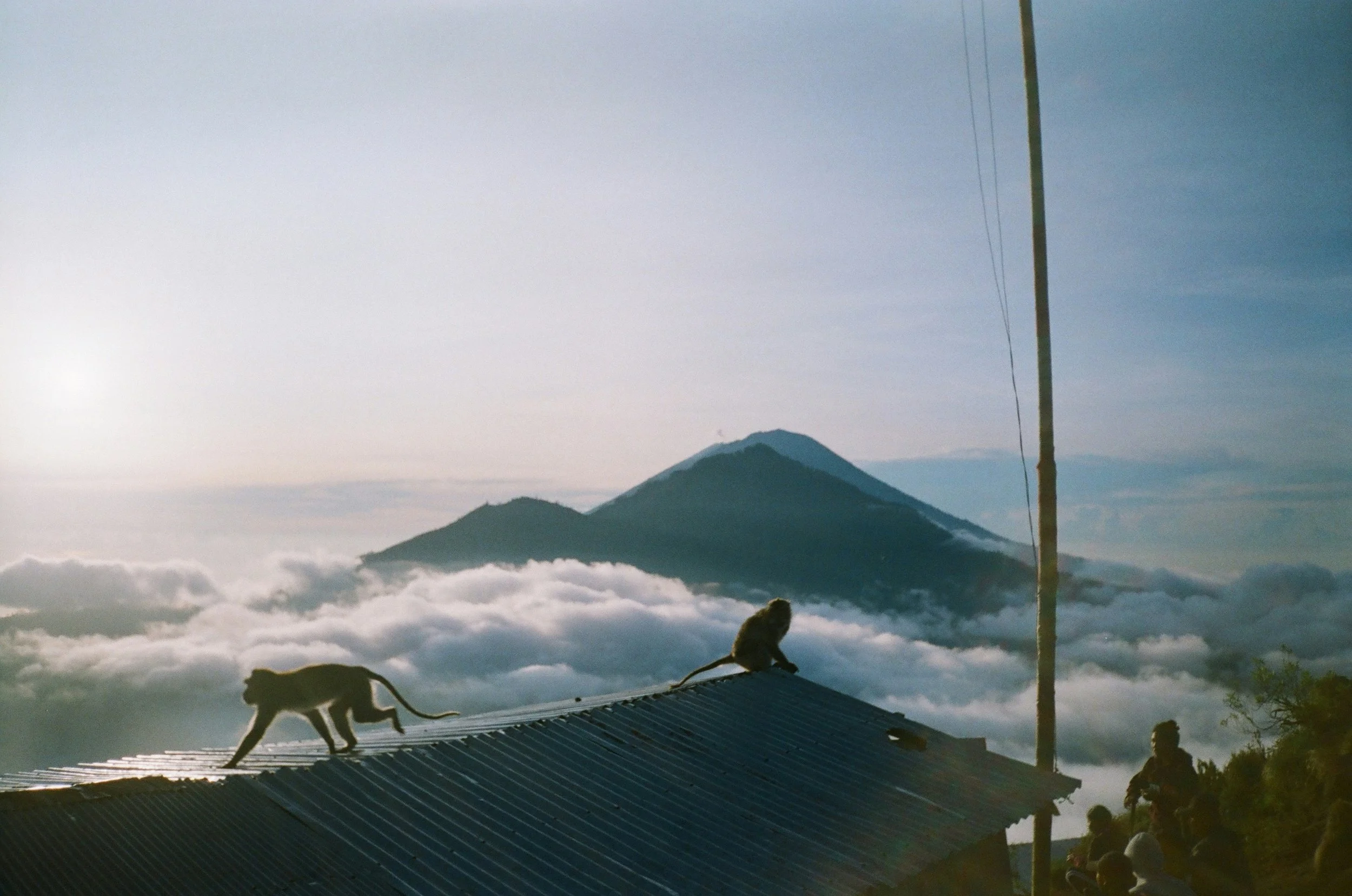 Mountains with clouds below, two monkeys on a roof, and people sitting nearby.