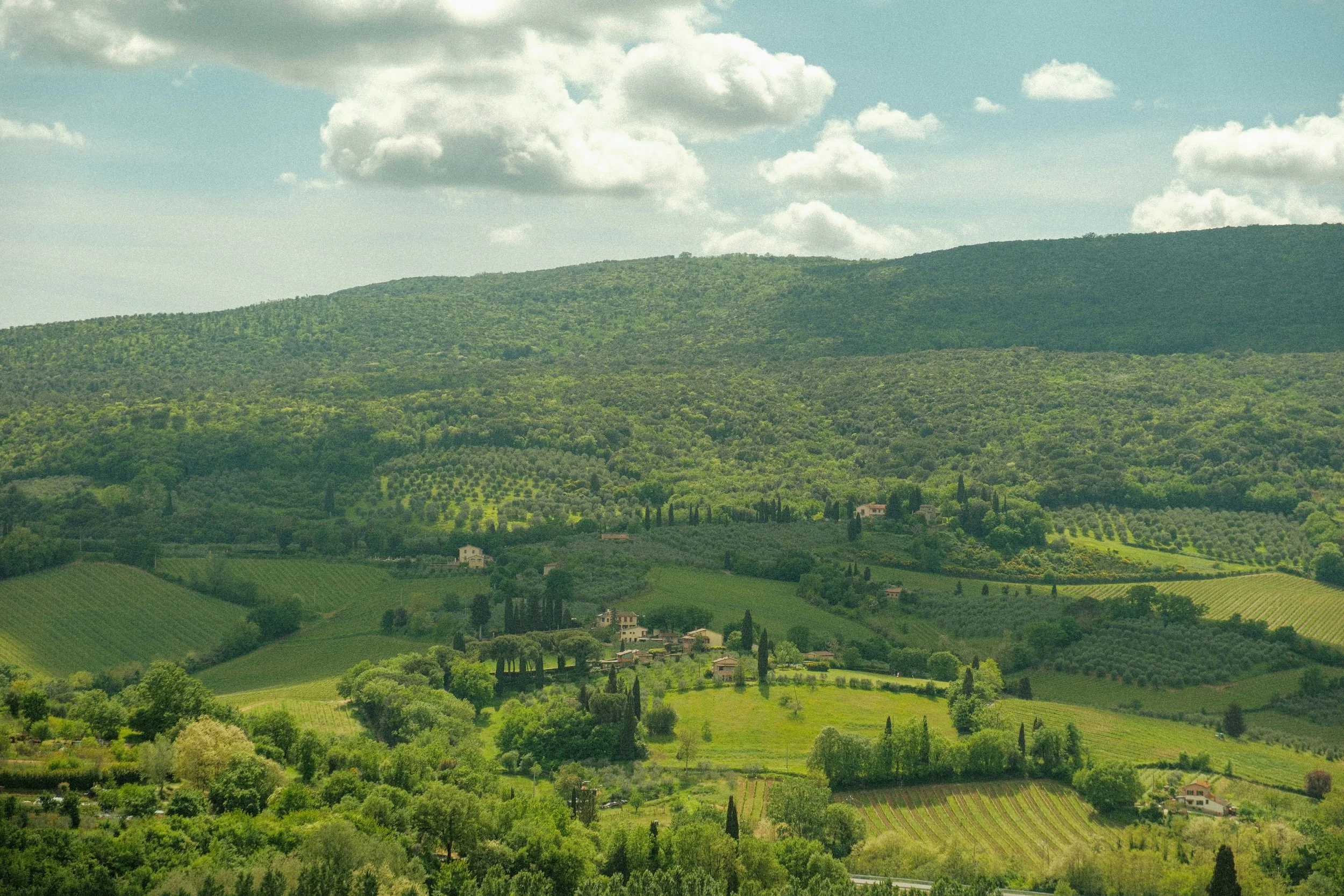 Scenic view of rolling green hills with scattered trees and houses, under a partly cloudy sky.