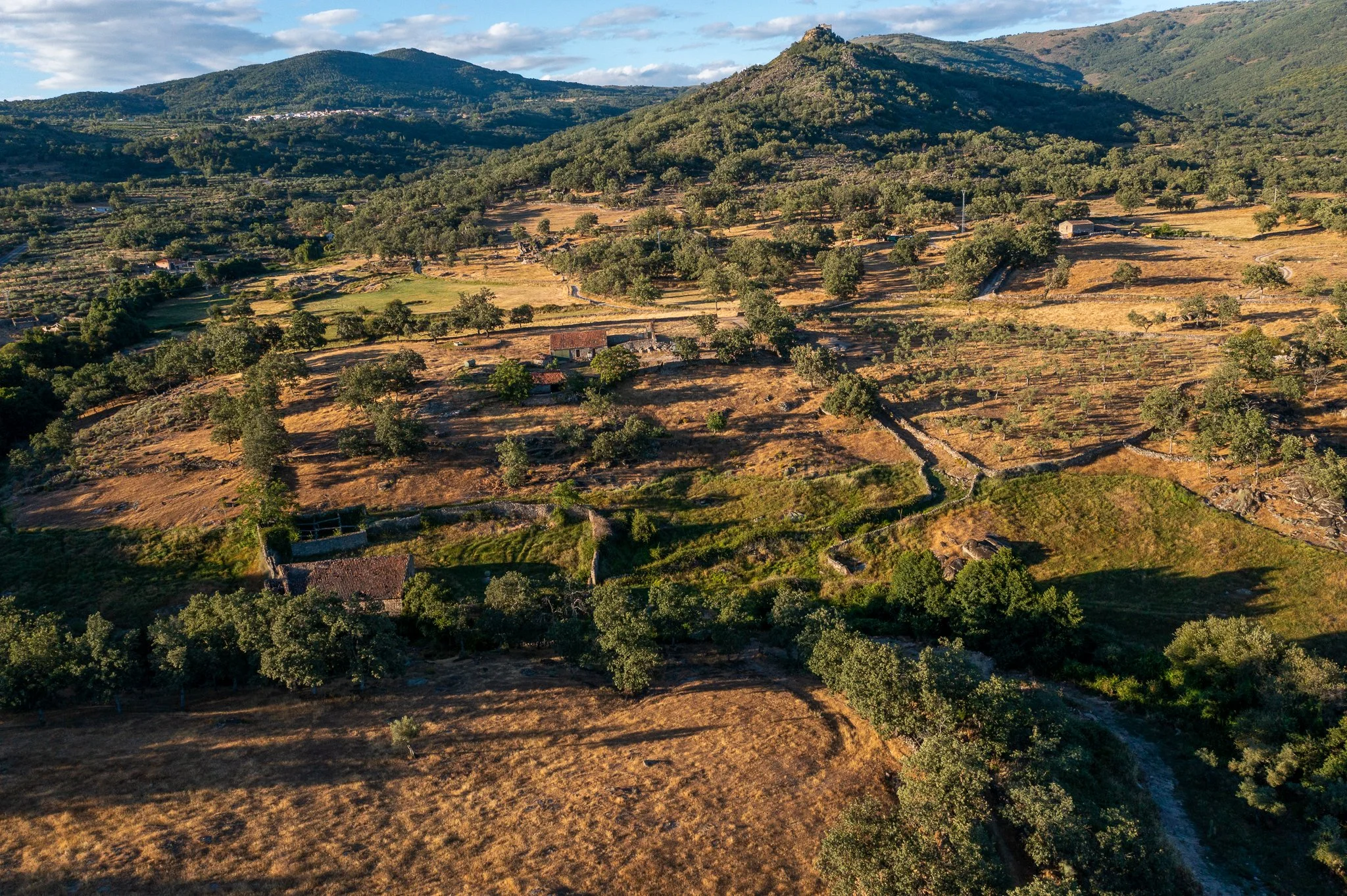 Aerial view of a rural landscape with rolling hills, scattered trees, stone walls, and farmhouses, under a partly cloudy sky.