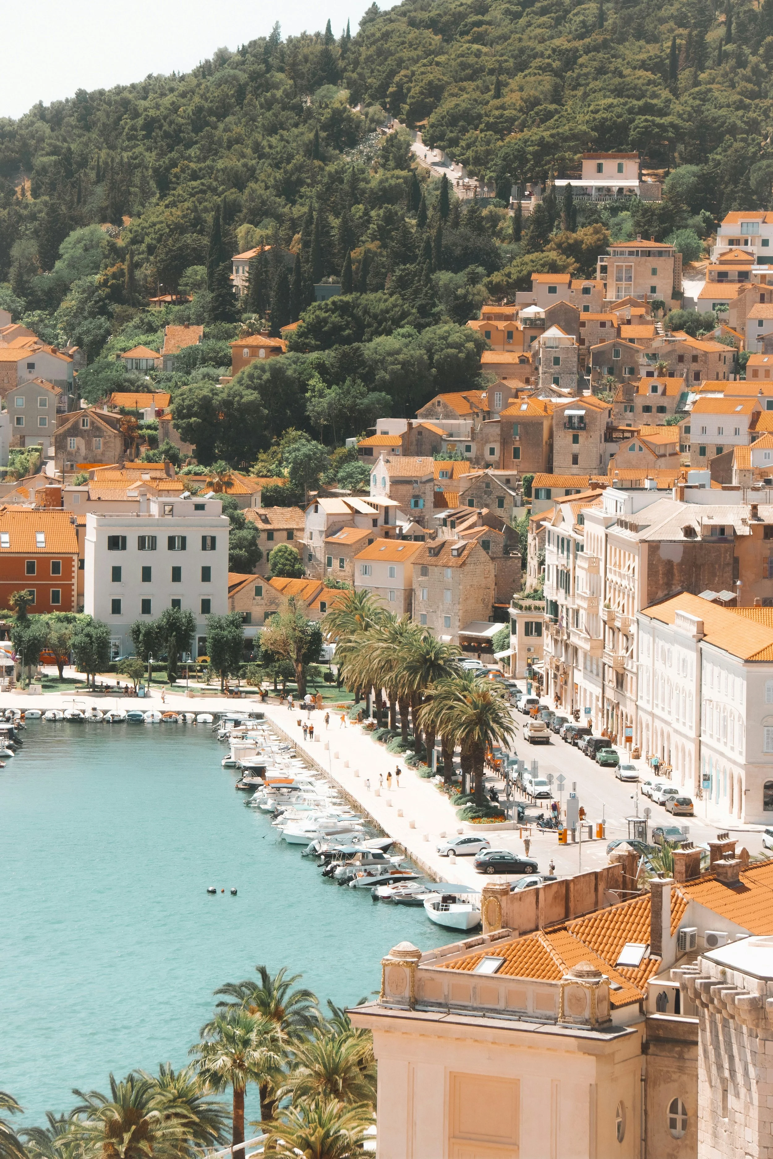 A coastal cityscape with a marina, palm trees lining the waterfront, colorful buildings with orange-tiled roofs, and a hillside covered in green trees and houses.