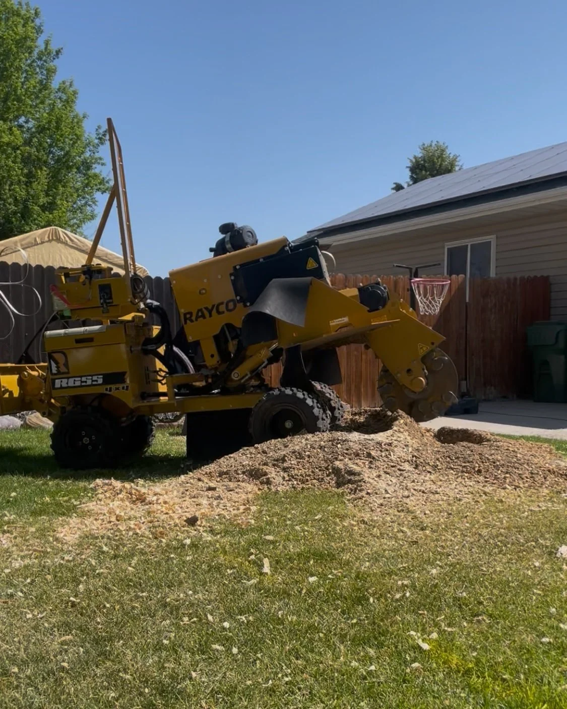Stump grinding services prompt and professional