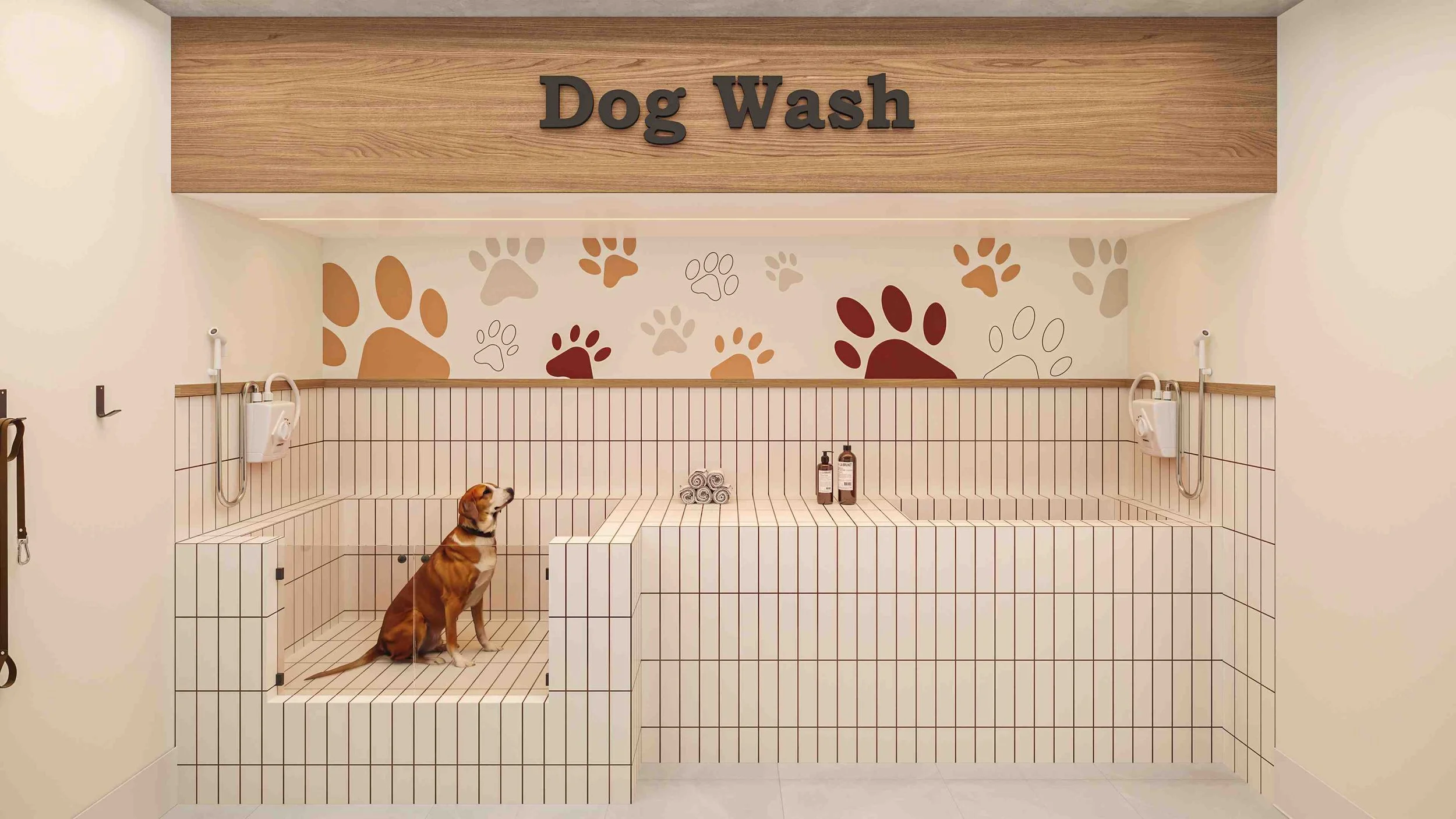 6/10 Dog wash, com água quente e soprador