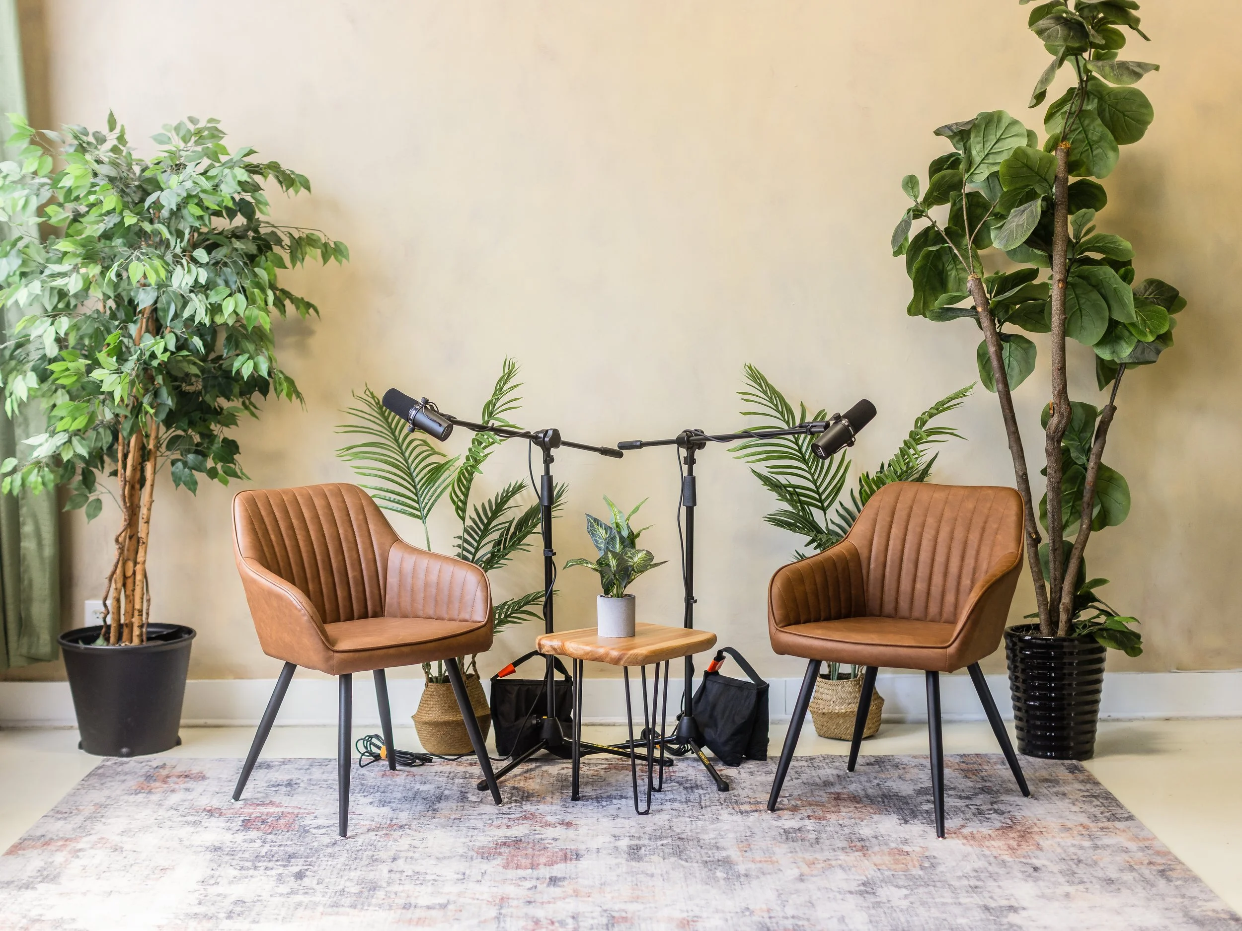 Modern podcast studio set in Toronto with professional Shure SM7B microphones and brown leather chairs and plants
