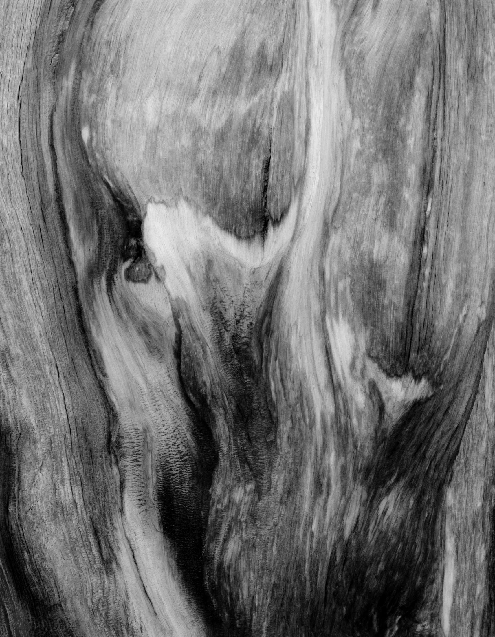 Abstracts