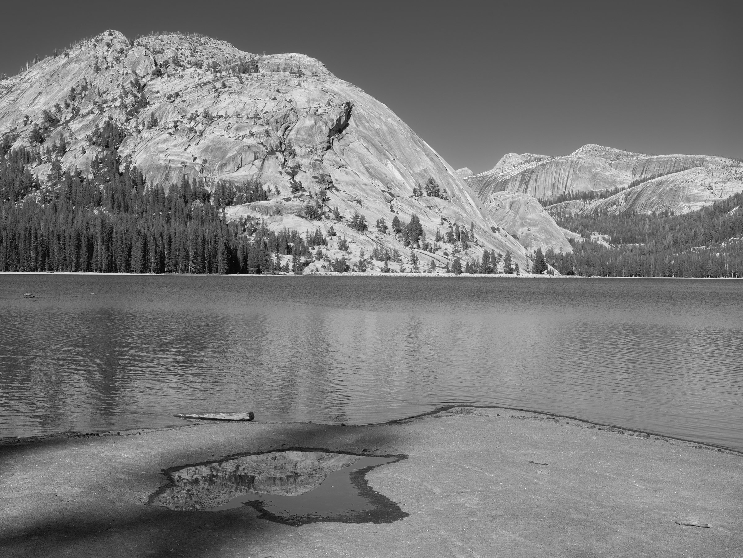 Tenaya Lake _DSF0994-master-2400px.jpg