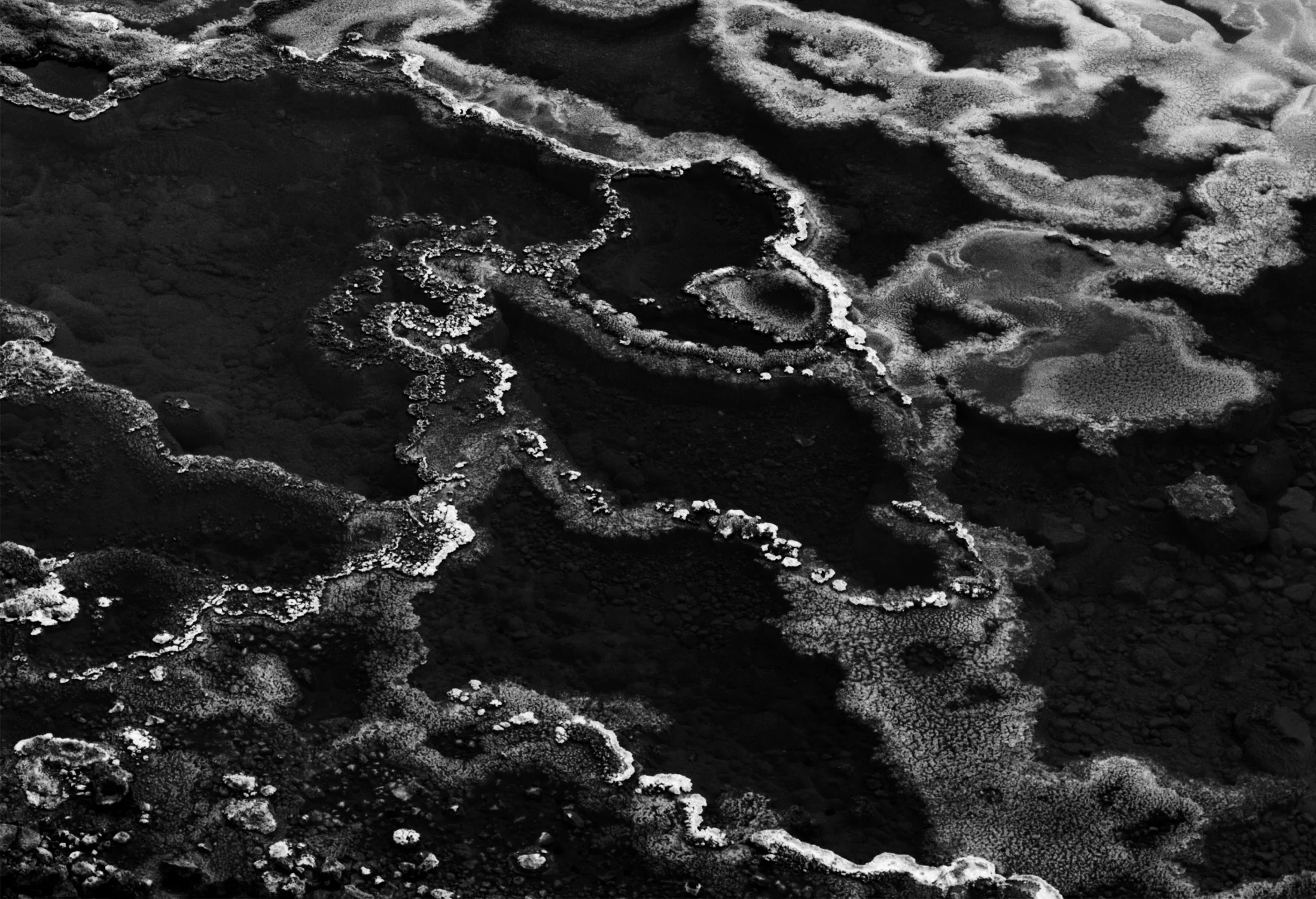 Big Steamy Pool