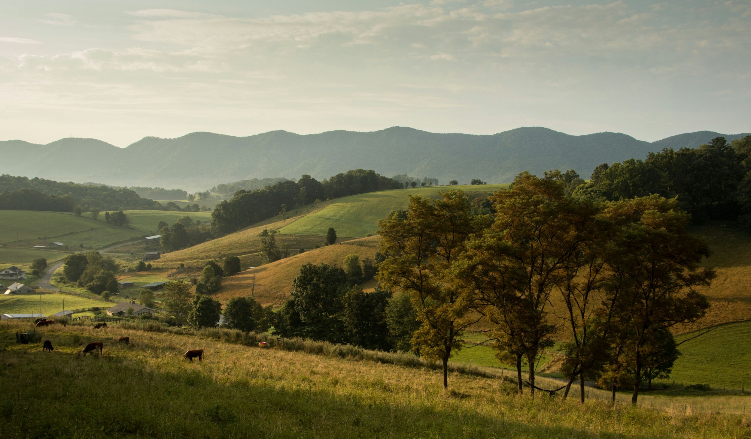 Rolling green hills with scattered trees, houses, and grazing cows under a partly cloudy sky.