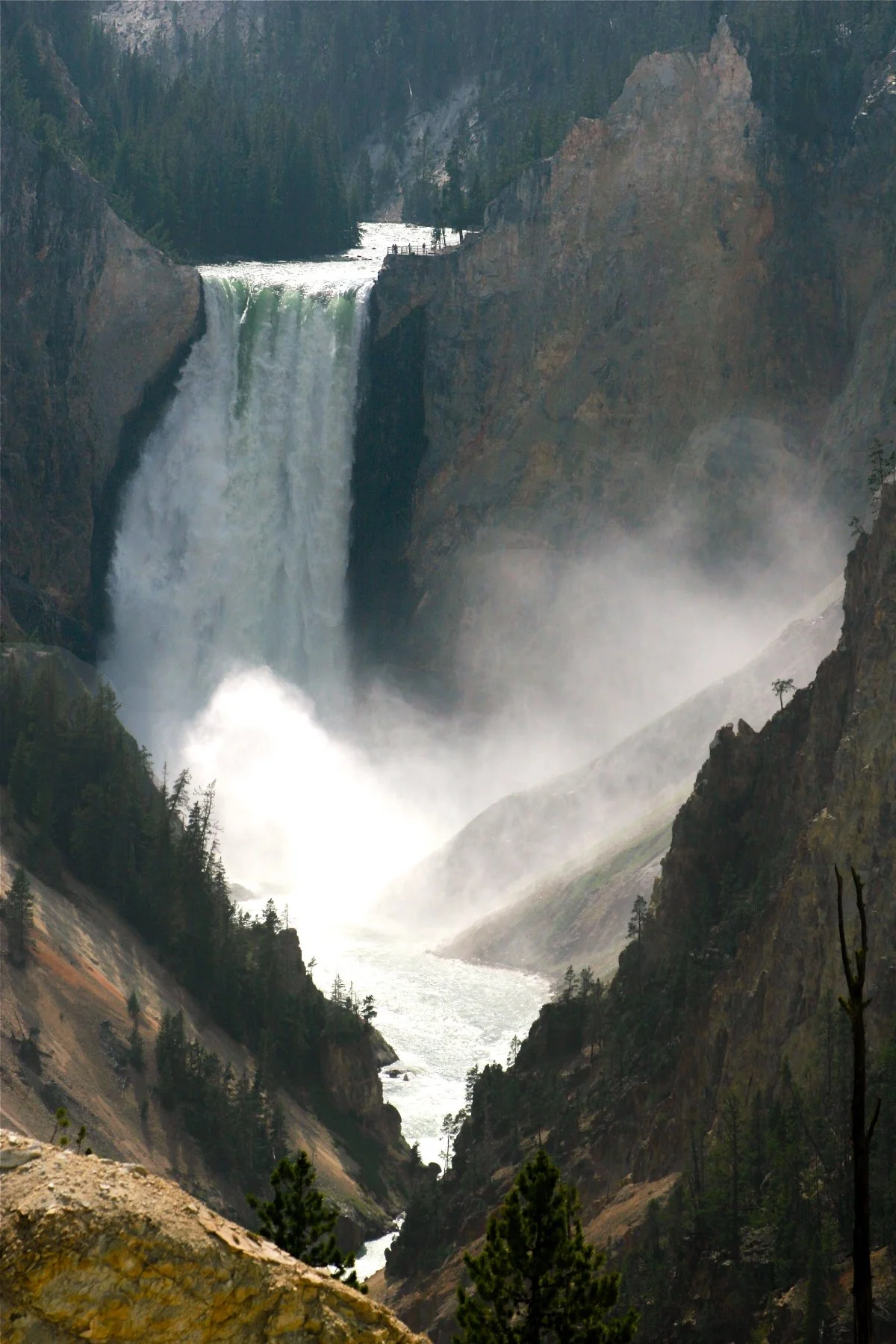 Yellowstone Falls.jpg