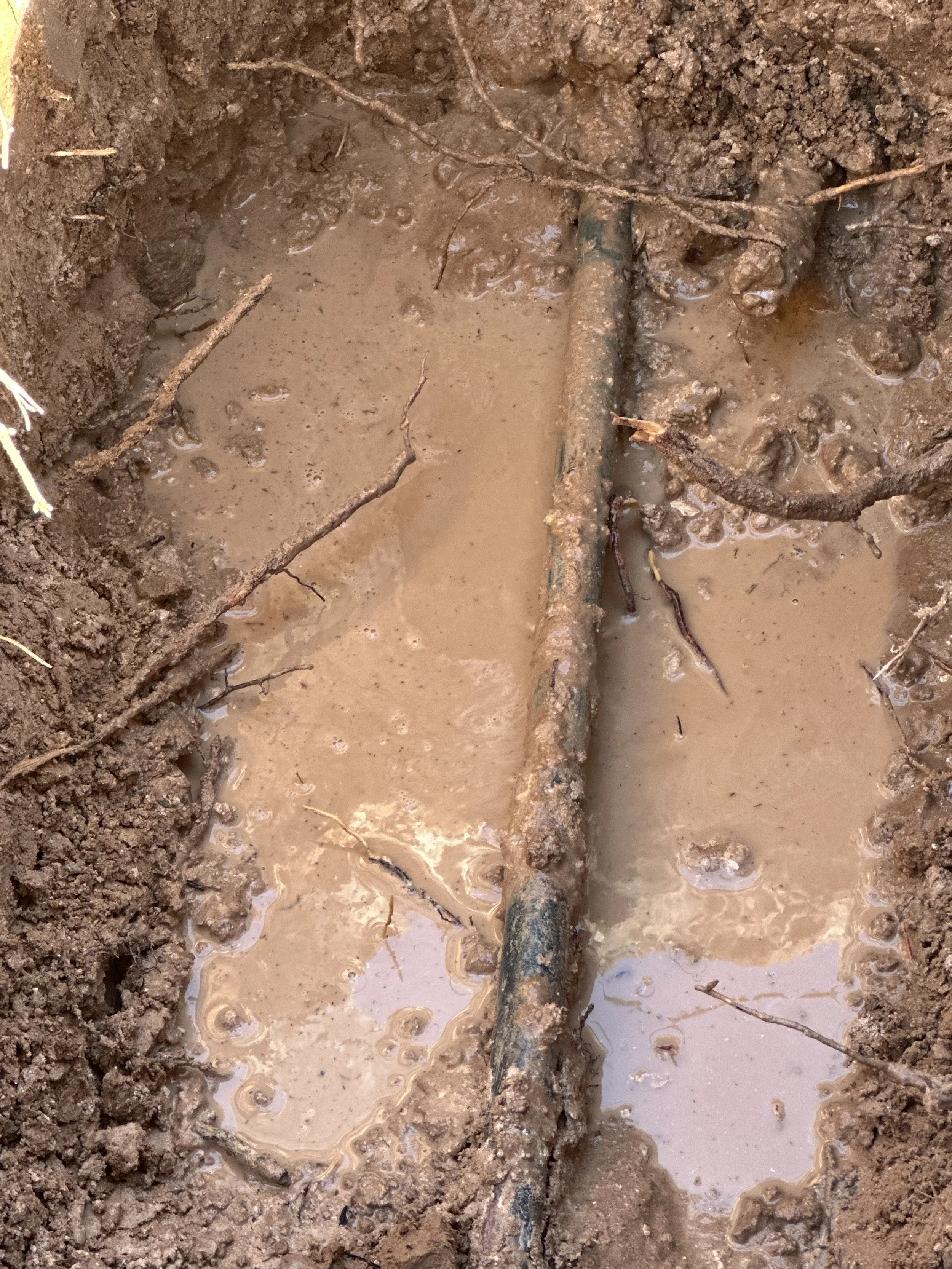 Close-up of a muddy trench with a rusty metal pipe and small roots in the soil.