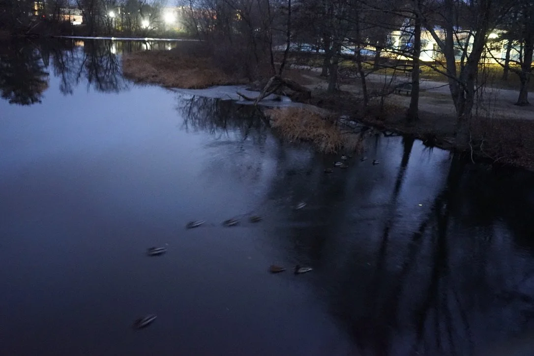 Introducing: the Philosophy of Lawn-sign liberalism