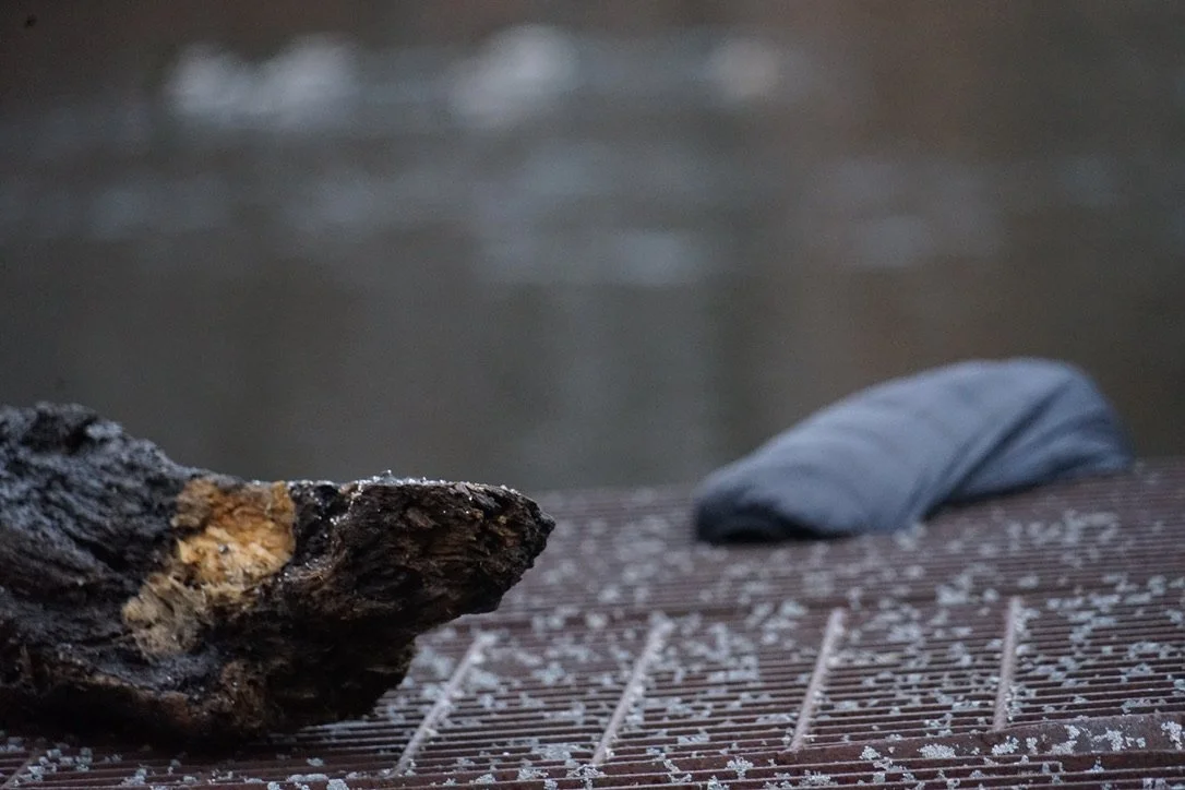 Capitalism and The Death Drive