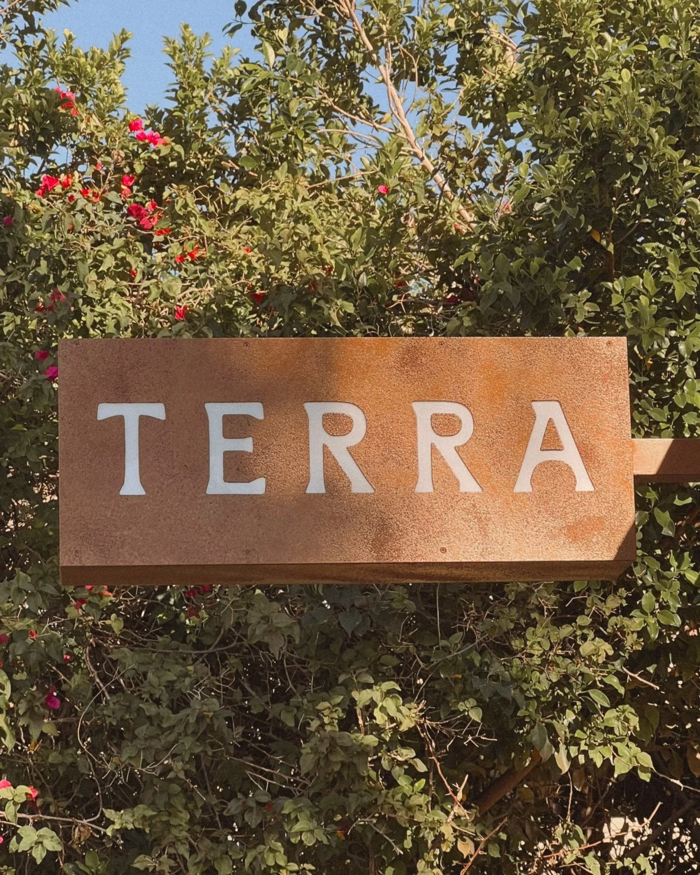 Brand identity for @terrapalmsprings &mdash; a wellness hotel rooted in place, ritual, and rest.

Designed for @lattes.and.leases and @d.i.fi, the visual world draws from the desert landscape and is hand-crafted to create an experience that is immers