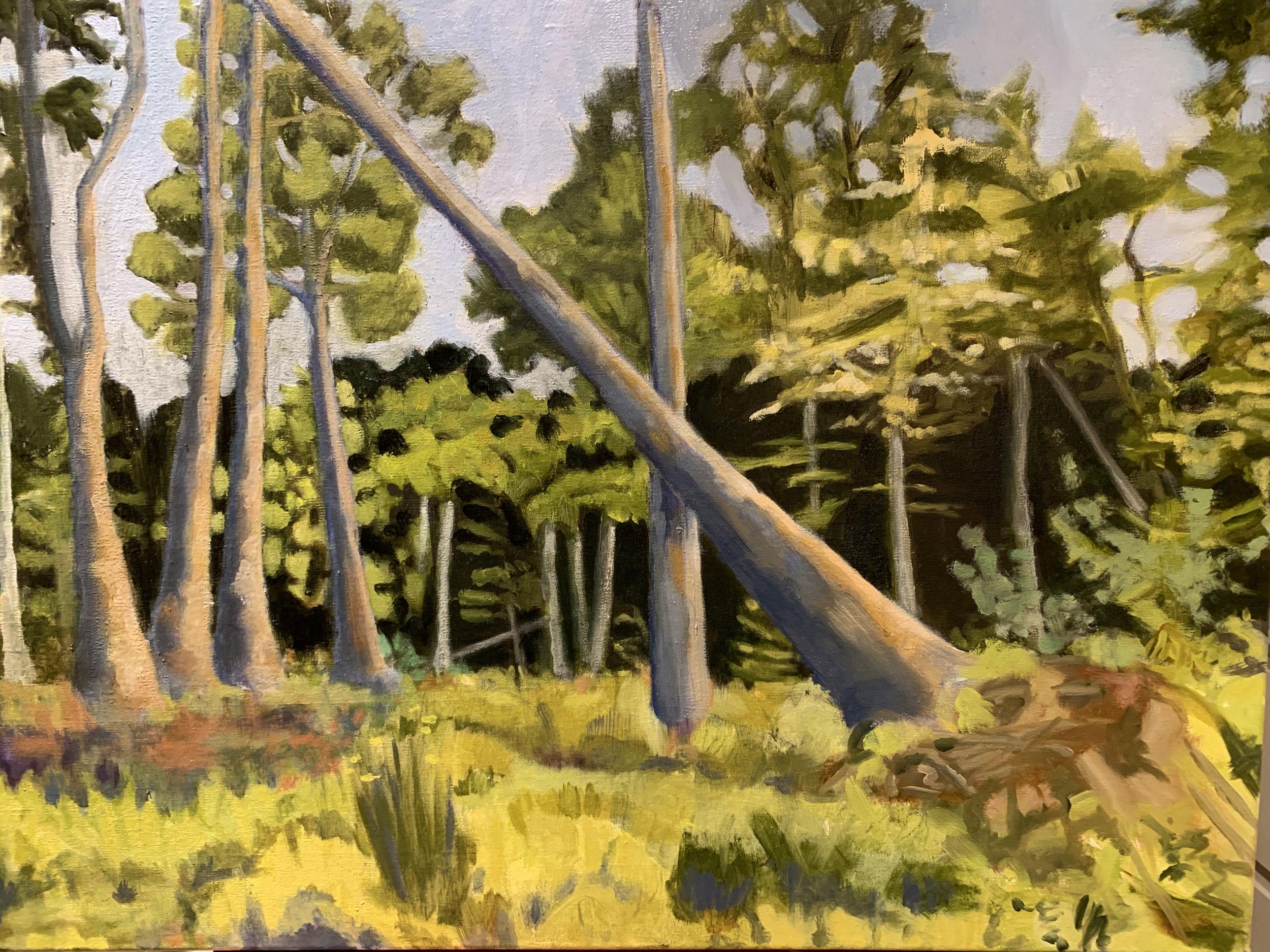 Maine Deadfall 2024