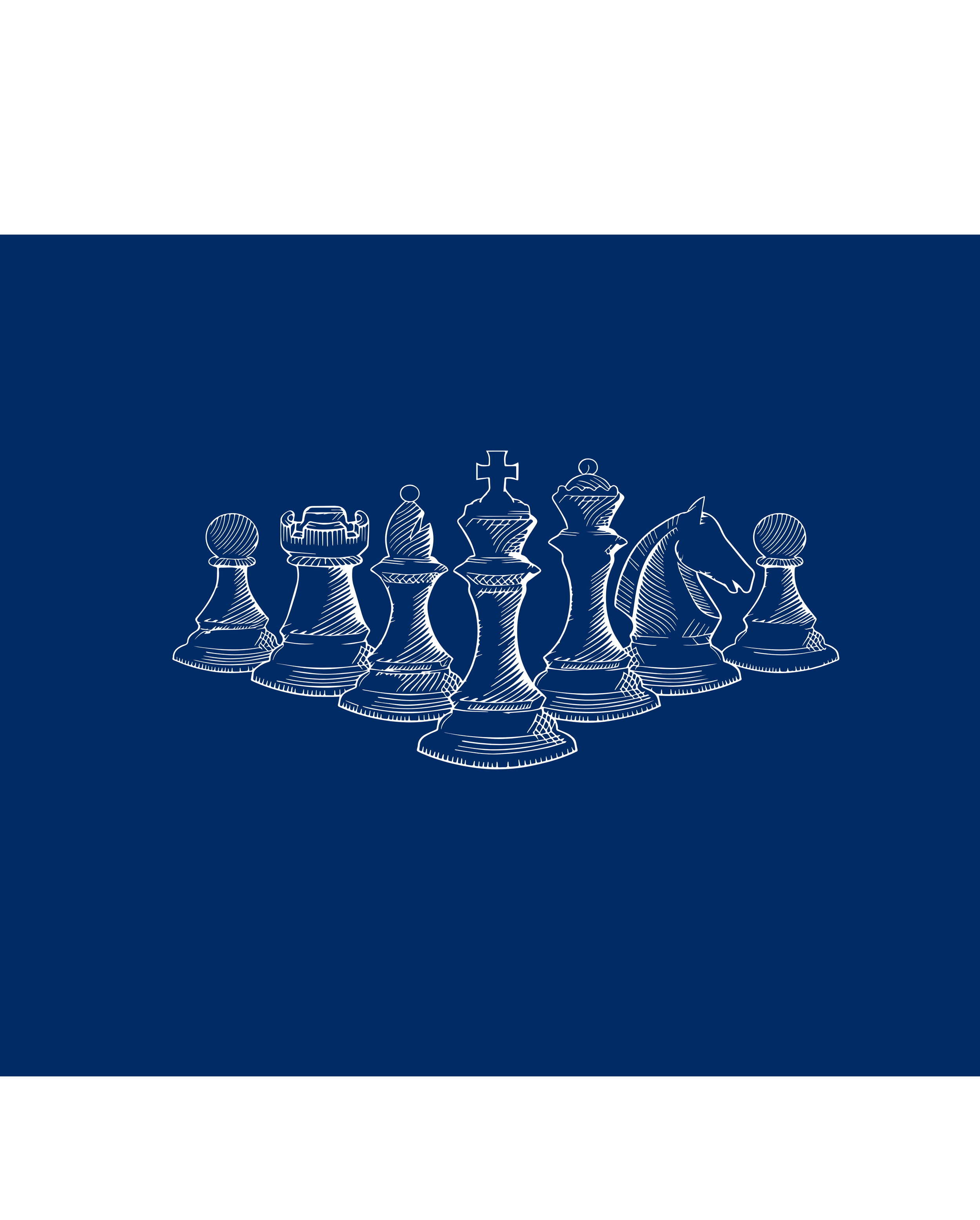 Partnership Development Strategy