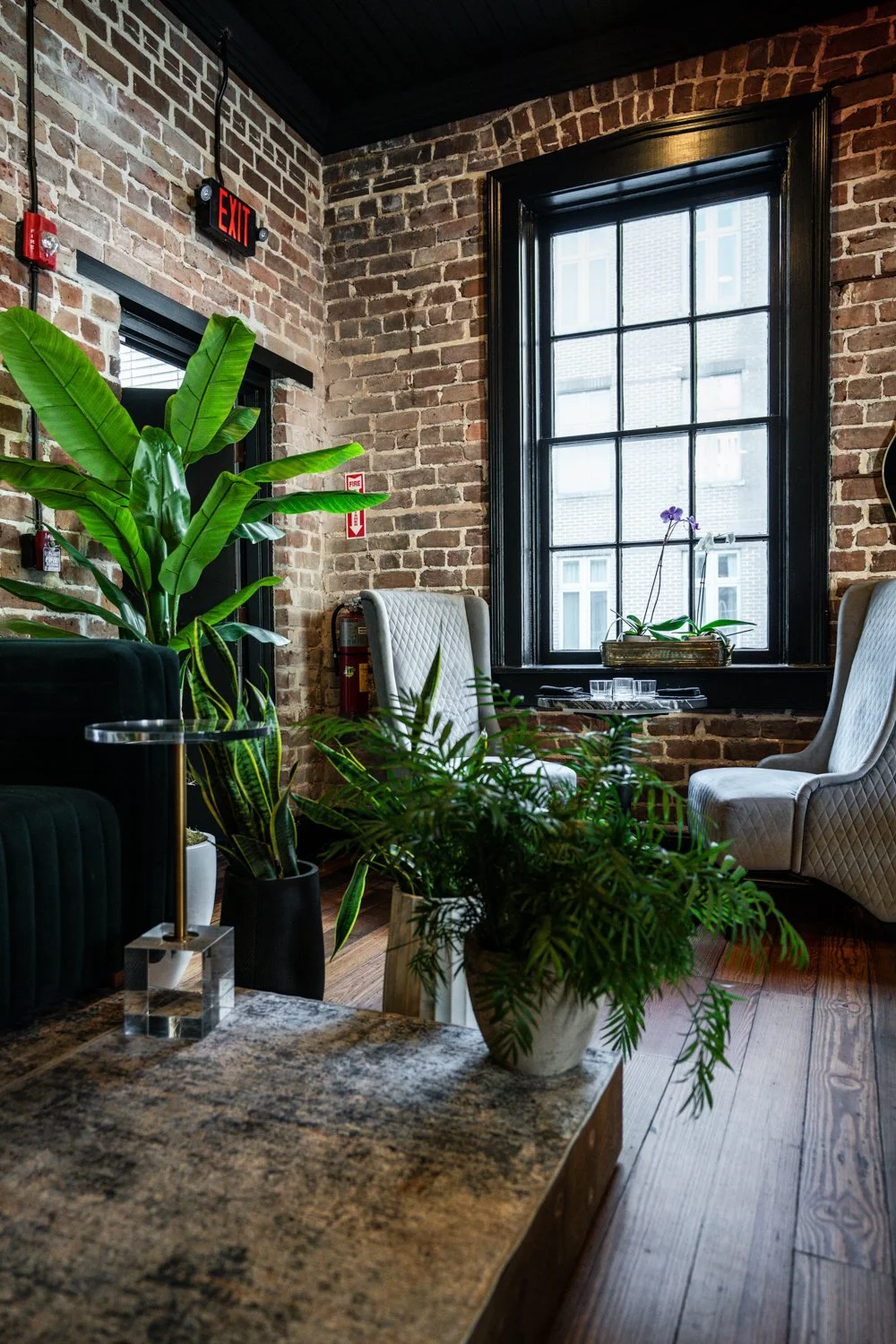 SV Images Untitled-9.jpg