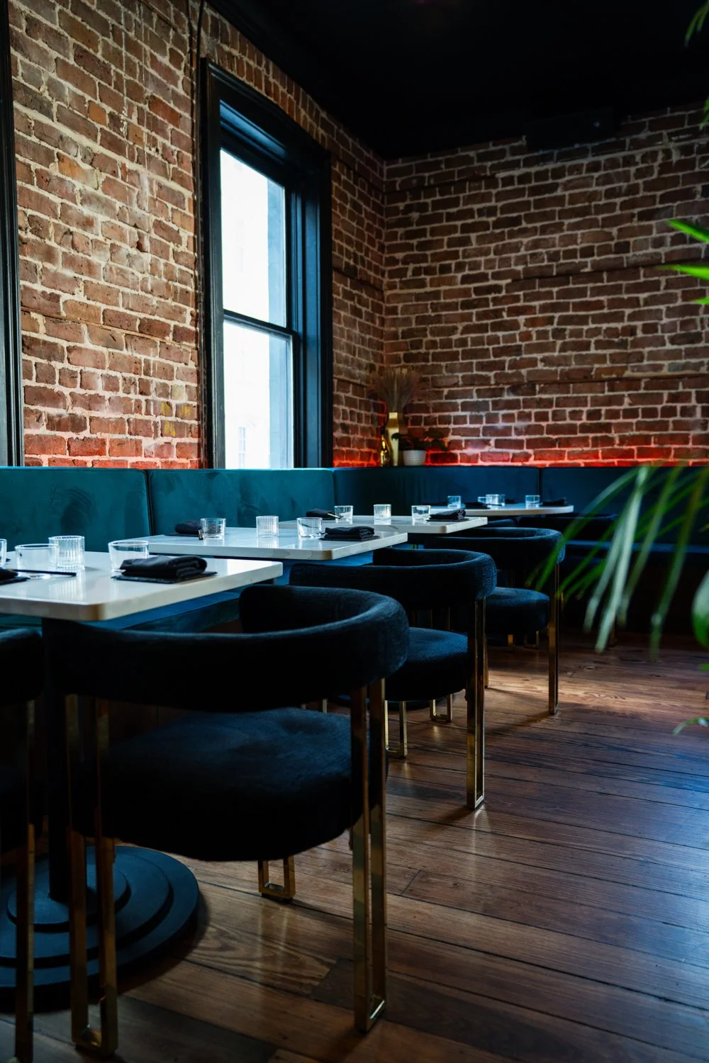 SV Images Untitled-2.jpg