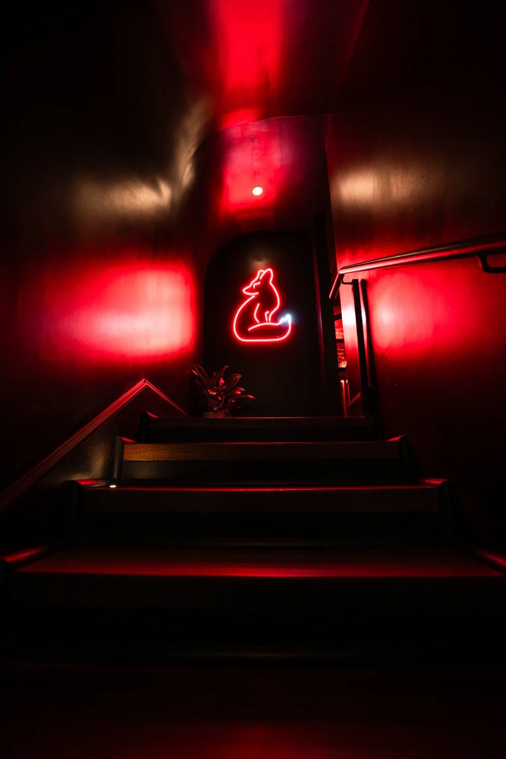 SV Images Untitled-16.jpg