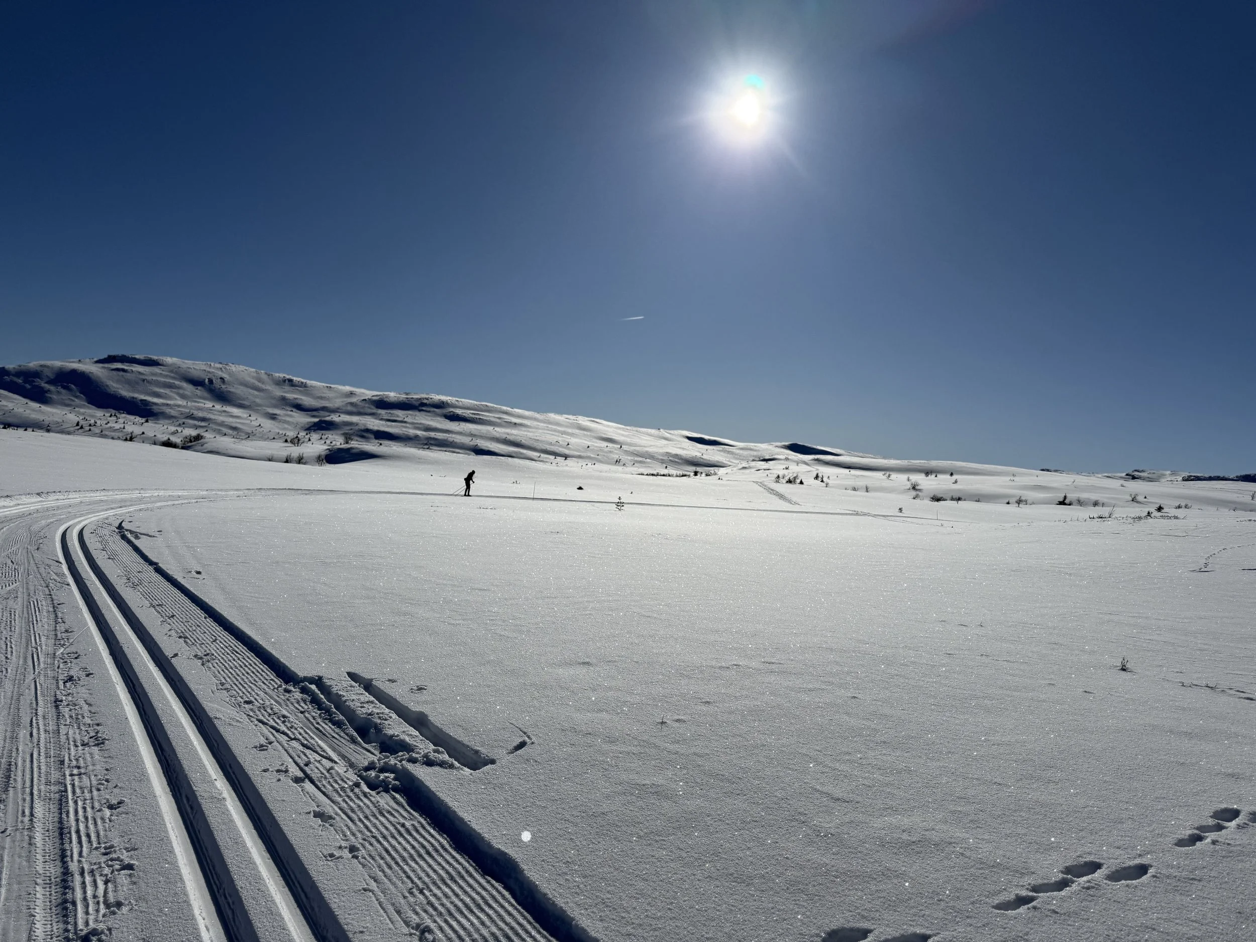 norway-landscape.jpeg
