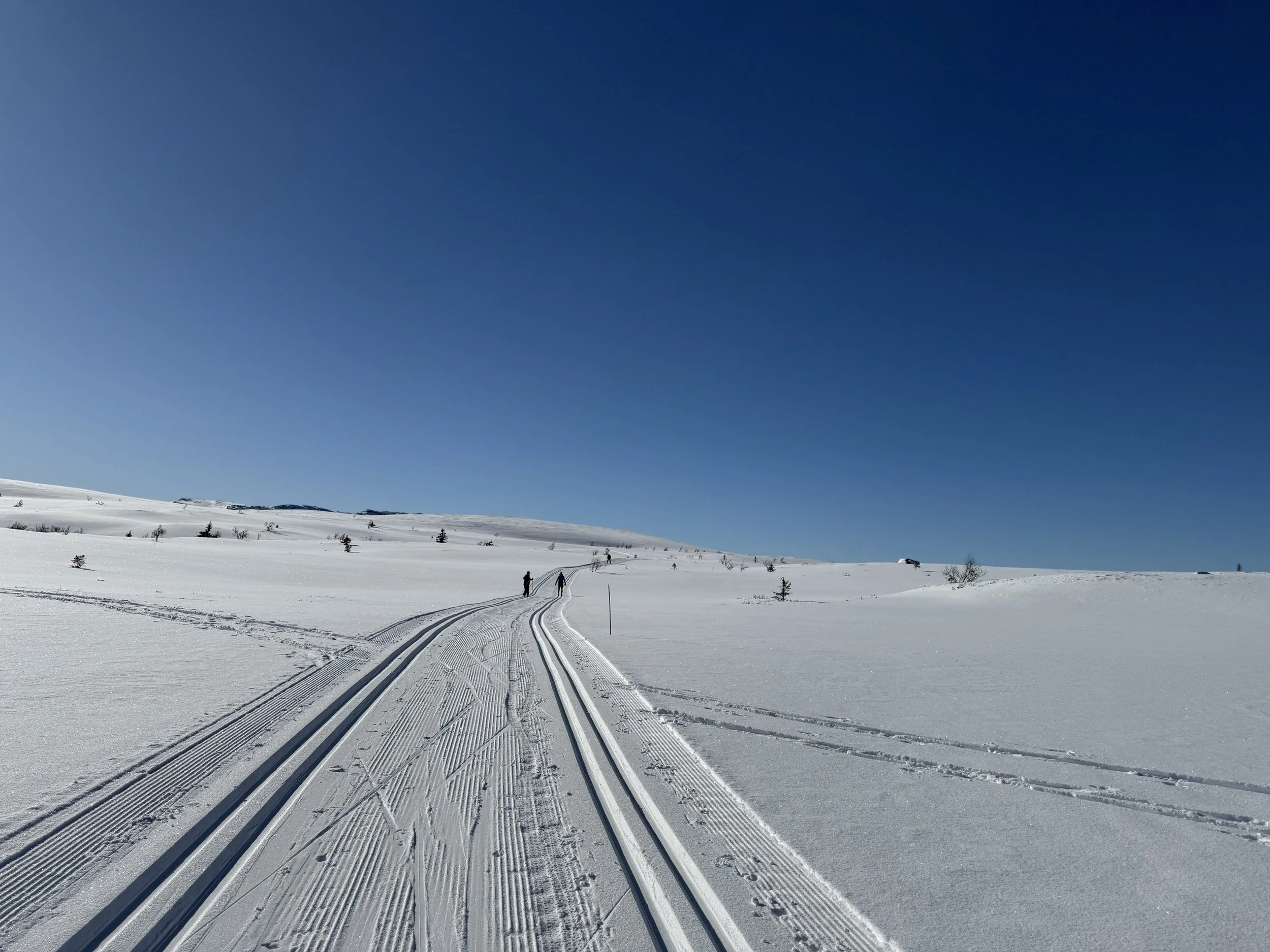 norway-trail-perspective.jpeg