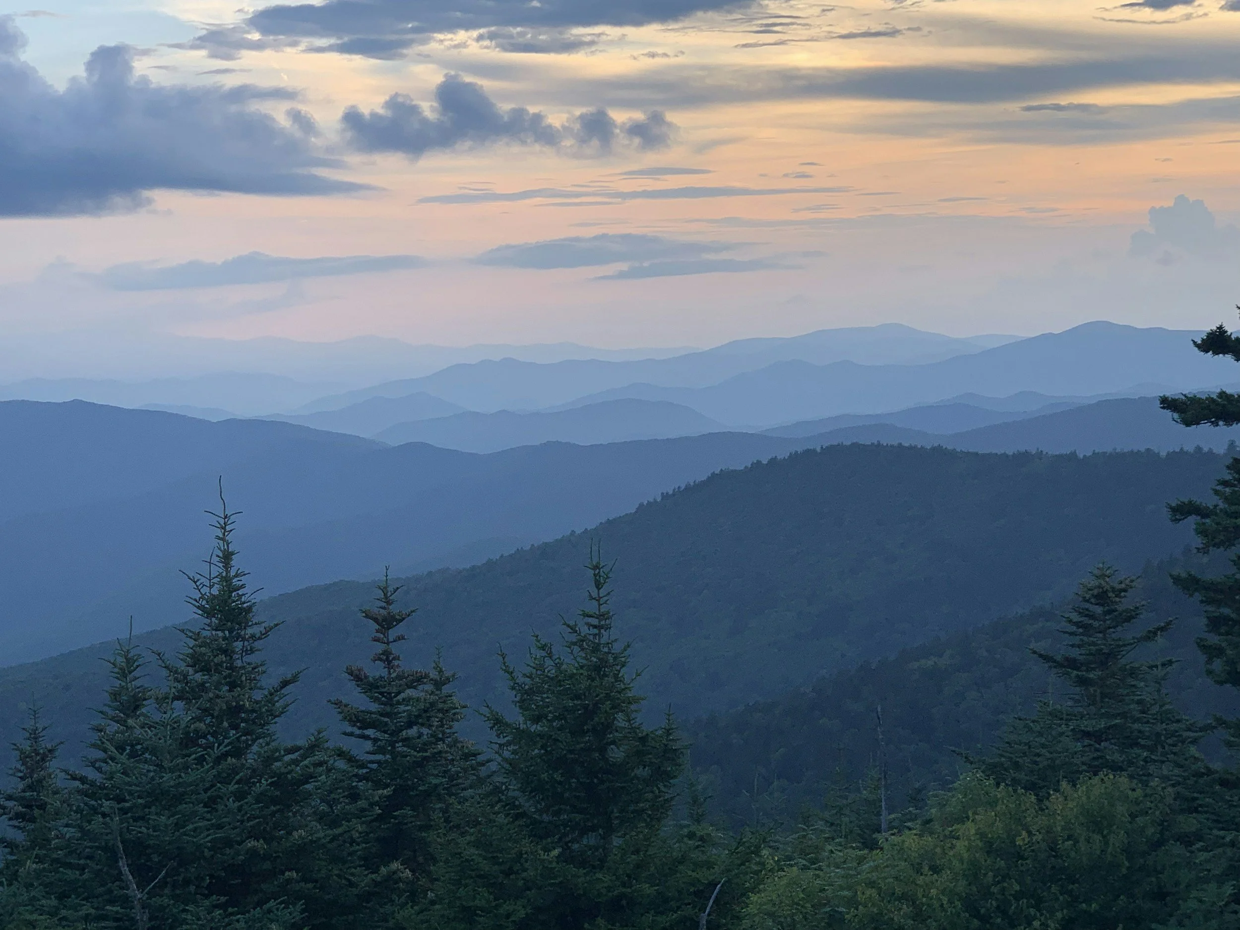 Scenic view of multiple mountain ridges in the distance with a cloudy sky overhead and evergreen trees in the foreground.