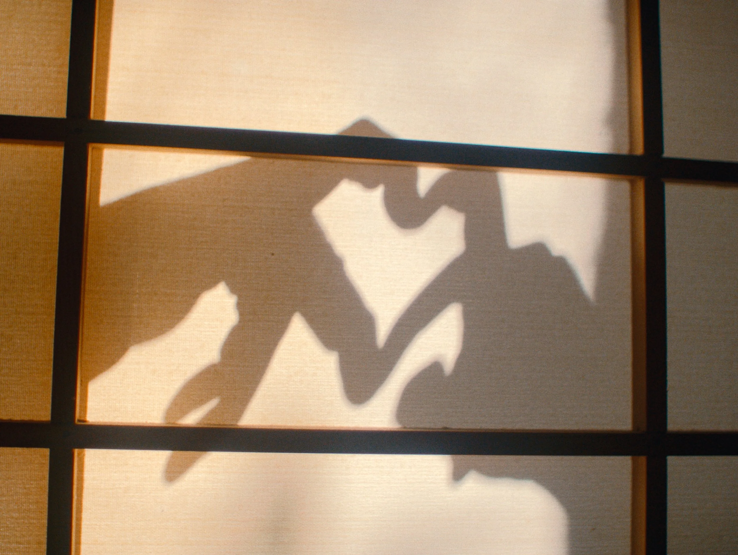 Directed by Sarah Barker
Cinematography by Spencer O'Neal