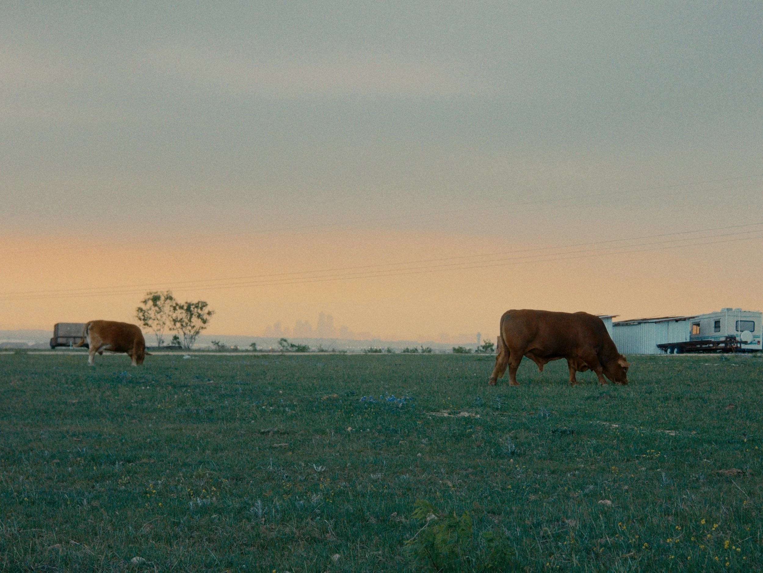 Directed by Sarah Barker
Cinematography by Spencer O'Neal