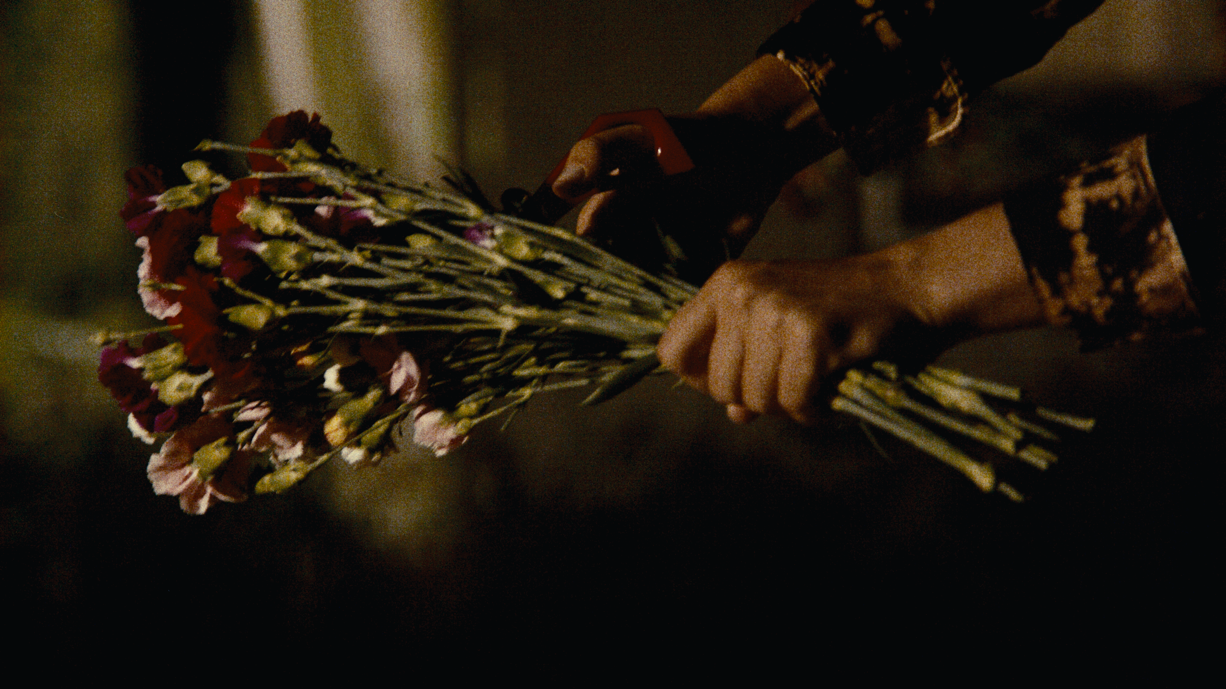 Cinematography by Spencer O'Neal