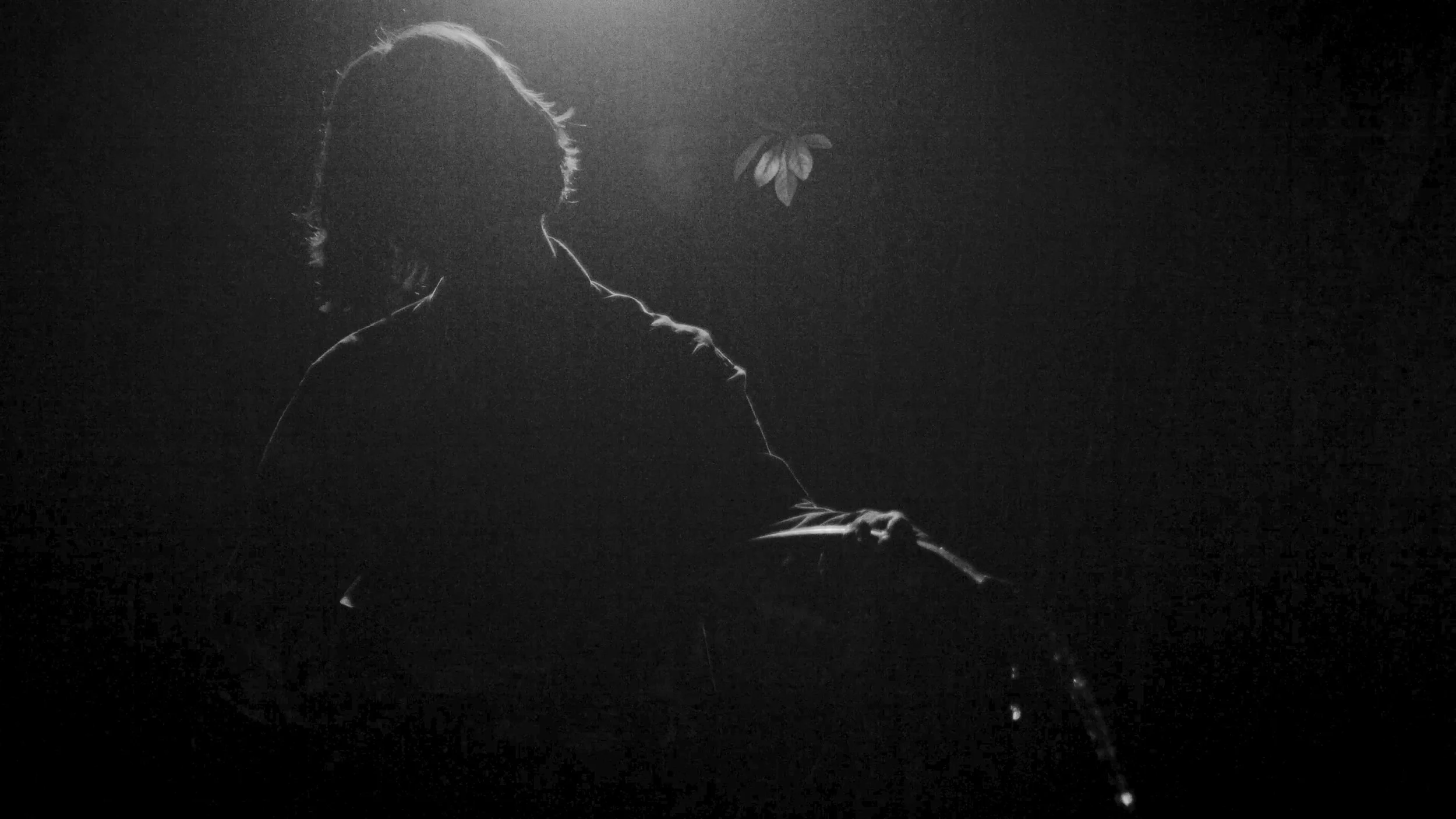 Cinematography by Spencer O'Neal